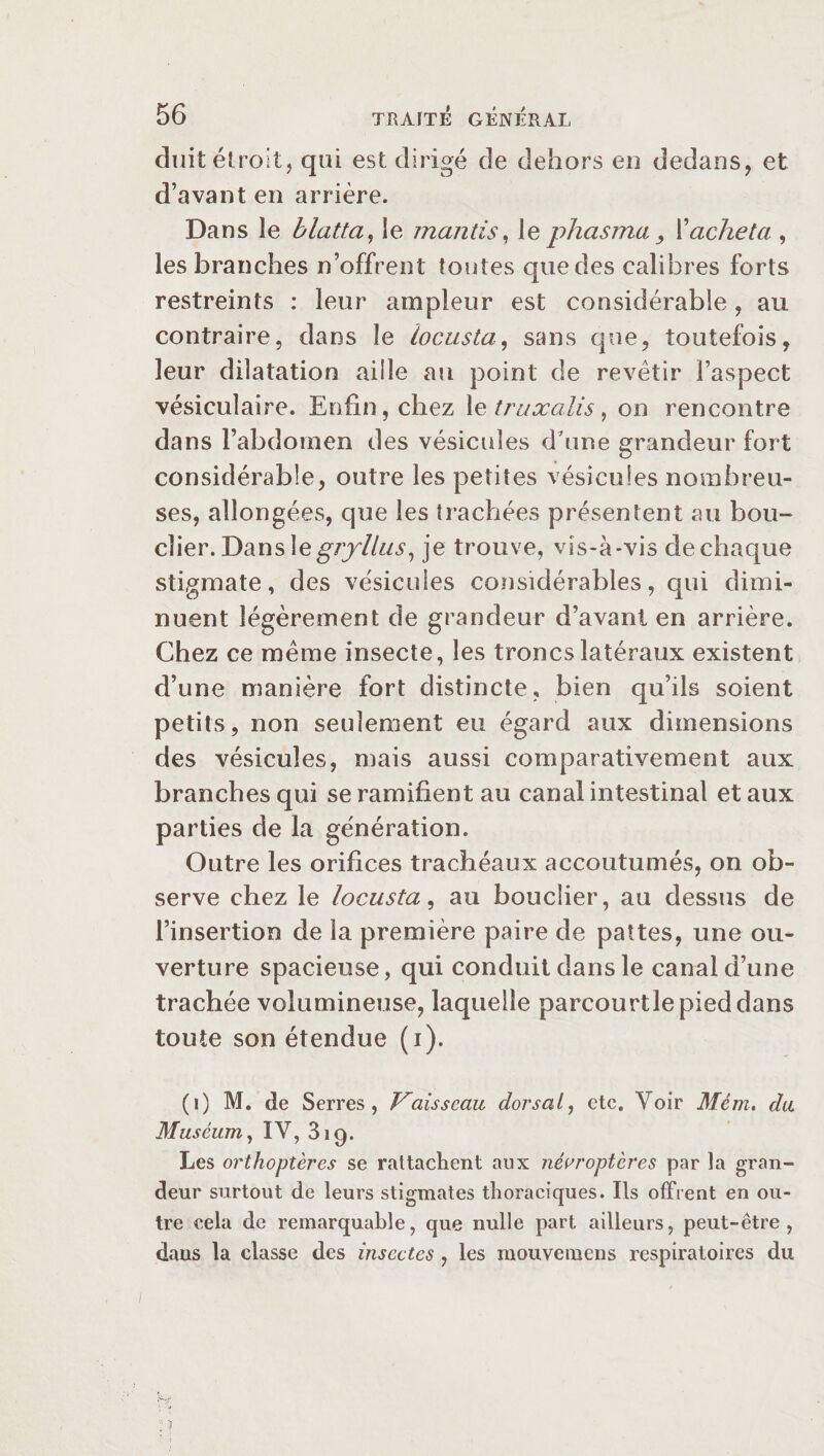 duit étroit, qui est dirigé de dehors en dedans, et d’avant en arrière. Dans le blatta, le mantis, le phasma y Xacheta , les branches n’offrent toutes que des calibres forts restreints : leur ampleur est considérable, au contraire, dans le iocusta, sans que, toutefois, leur dilatation aille au point de revêtir l’aspect vésiculaire. Enfin, chez 1 e traxalis, on rencontre dans l’abdomen des vésicules d'une grandeur fort considérable, outre les petites vésicules nombreu¬ ses, allongées, que les trachées présentent au bou¬ clier. Dans legryllus, je trouve, vis-à-vis de chaque stigmate, des vésicules considérables, qui dimi¬ nuent légèrement de grandeur d’avant en arrière. Chez ce même insecte, les troncs latéraux existent d’une manière fort distincte, bien qu’ils soient petits, non seulement eu égard aux dimensions des vésicules, mais aussi comparativement aux branches qui se ramifient au canal intestinal et aux parties de la génération. Outre les orifices trachéaux accoutumés, on ob¬ serve chez le Iocusta, au bouclier, au dessus de l’insertion de la première paire de pattes, une ou¬ verture spacieuse, qui conduit dans le canal d’une trachée volumineuse, laquelle parcourtle pied dans toute son étendue (i). (i) M. cle Serres, Vaisseau dorsal, etc. Voir Mêm. du Muséumy IY, 319. Les orthoptères se rattachent aux nêoroptcres par la gran¬ deur surtout de leurs stigmates thoraciques. Ils offrent en ou¬ tre cela de remarquable, que nulle part ailleurs, peut-être, dans la classe des insectes, les mouvemens respiratoires du