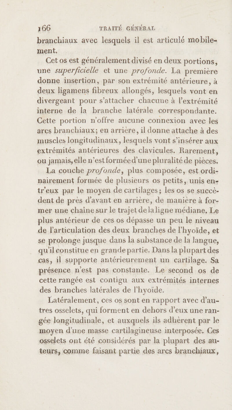 branchiaux avec lesquels il est articulé mobile- ment. Cet os est généralement divisé en deux portions, une superficielle et une profonde. La première donne insertion, par son extrémité antérieure, à deux ligamens fibreux allongés, lesquels vont en divergeant pour s’attacher chacune à l’extrémité interne de la branche latérale correspondante. Cette portion n’offre aucune connexion avec les arcs branchiaux; en arrière, il donne attache à des muscles longitudinaux, lesquels vont s’insérer aux extrémités antérieures des clavicules. Rarement, ou jamais, elle n’est formée d’une pluralité de pièces. La couche profonde, plus composée, est ordi¬ nairement formée de plusieurs os petits, unis en- tr’eux par le moyen de cartilages ; les os se succè¬ dent de près d’avant en arrière, de manière à for¬ mer une chaîne sur le trajet delaligne médiane. Le plus antérieur de ces os dépasse un peu le niveau de l’articulation des deux branches de l’hyoïde, et se prolonge jusque dans la substance de la langue, qu’il constitue en grande partie. Dans la plupart des cas, il supporte antérieurement un cartilage. Sa présence n’est pas constante. Le second os de cette rangée est contigu aux extrémités internes des branches latérales de l’hyoïde. Latéralement, ces os sont en rapport avec d’au¬ tres osselets, qui forment en dehors d’eux une ran¬ gée longitudinale, et auxquels ils adhèrent par le moyen d’une masse cartilagineuse interposée. Ces osselets ont été considérés par la plupart des au¬ teurs, comme faisant partie des arcs branchiaux,