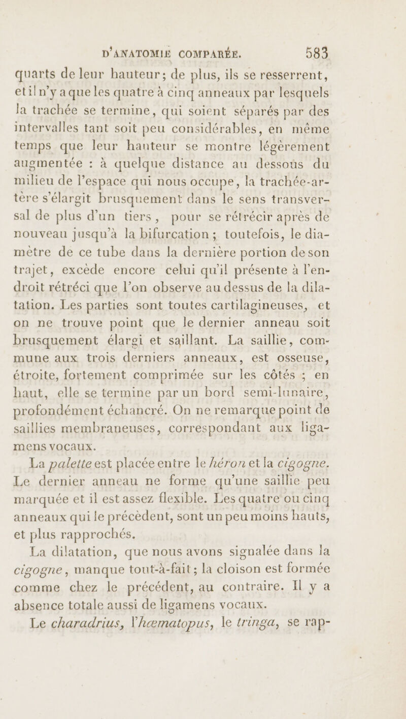 quarts de leur hauteur; de plus, ils se resserrent, et il n’y a que les quatre à cinq anneaux par lesquels la trachée se termine, qui soient séparés par des intervalles tant soit peu considérables, en même temps que leur hauteur se montre légèrement augmentée : à quelque distance au dessous du milieu de l’espace qui nous occupe, la trachée-ar¬ tère s’élargit brusquement dans le sens transver¬ sal de plus d’un tiers, pour se rétrécir après de nouveau jusqu’à la bifurcation ; toutefois, le dia¬ mètre de ce tube dans la dernière portion de son trajet, excède encore celui qu’il présente à l’en¬ droit rétréci que l’on observe au dessus de la dila¬ tation. Les parties sont toutes cartilagineuses, et on ne trouve point que le dernier anneau soit brusquement élargi et saillant. La saillie, com¬ mune aux trois derniers anneaux, est osseuse, étroite, fortement comprimée sur les côtés ; en haut, elle se termine par un bord semi-lunaire, profondément échancré. On ne remarque point de saillies membraneuses, correspondant aux liga- mens vocaux. La palettesst placée entre le héron et la cigogne. Le dernier anneau ne forme qu’une saillie peu marquée et il est assez flexible. Les quatre ou cinq anneaux qui le précèdent, sont un peu moins hauts, et plus rapprochés. La dilatation, que nous avons signalée dans la cigogne, manque tout-à-fait; la cloison est formée comme chez le précédent, au contraire. Il y a absence totale aussi de îigamens vocaux. Le charadrius9 Xhœmatopus, le tringa, se rap-