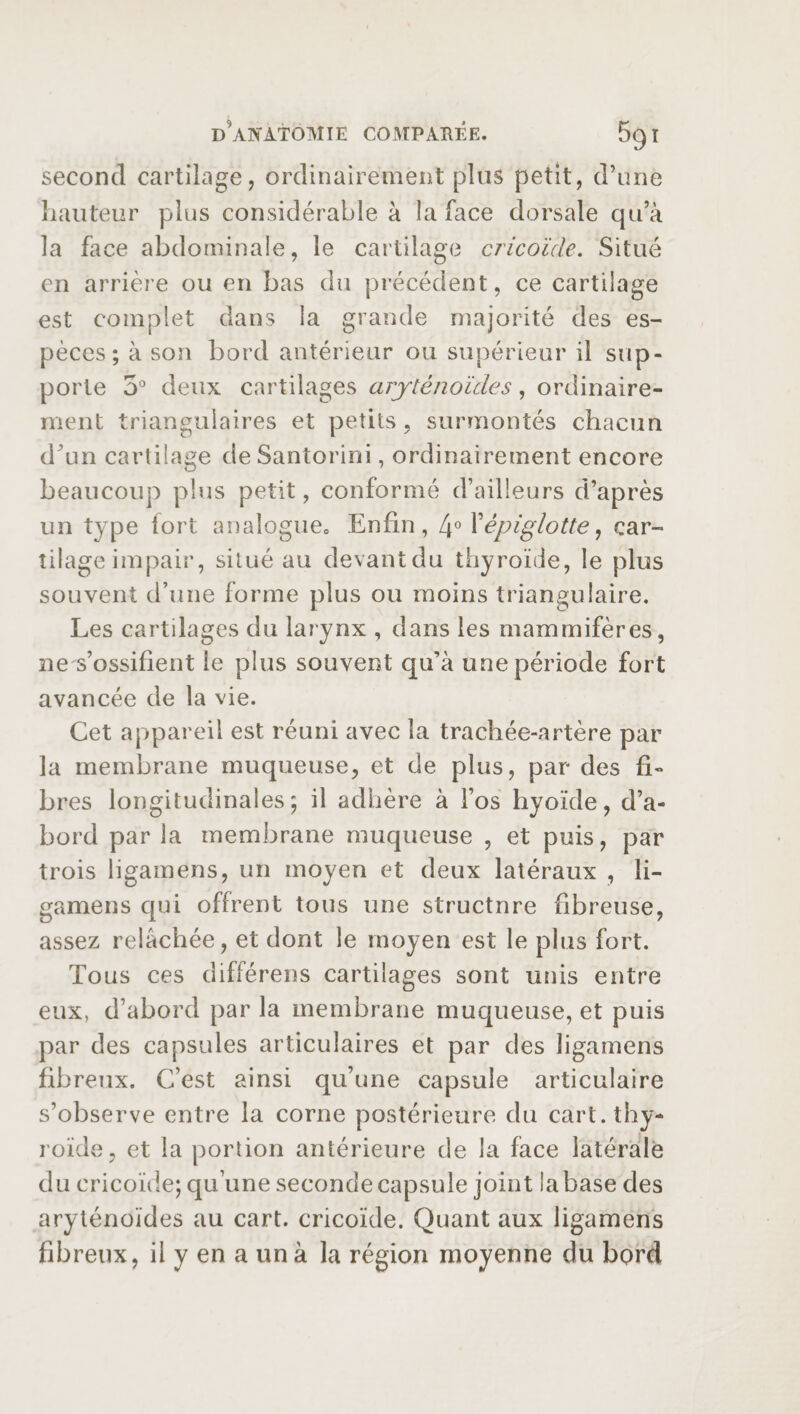 second cartilage, ordinairement plus petit, d’une hauteur plus considérable à la face dorsale qu’à la face abdominale, le cartilage cricoïde. Situé en arrière ou en bas du précédent, ce cartilage est complet dans la grande majorité des es¬ pèces; à son bord antérieur ou supérieur il sup¬ porte 3° deux cartilages aryténoïdes, ordinaire¬ ment triangulaires et petits, surmontés chacun d’un cartilage de Santorini, ordinairement encore beaucoup plus petit, conformé d’ailleurs d’après un type tort analogue,, Enfin, 4° l’épiglotte, car¬ tilage impair, situé au devant du thyroïde, le plus souvent d’une forme plus ou moins triangulaire. Les cartilages du larynx , dans les mammifères, ne s’ossifient le plus souvent qu’à une période fort avancée de la vie. Cet appareil est réuni avec la trachée-artère par la membrane muqueuse, et de plus, par des fi¬ bres longitudinales ; il adhère à l’os hyoïde, d’a¬ bord par la membrane muqueuse , et puis, par trois ligamens, un moyen et deux latéraux , li- gamens qui offrent tous une structnre fibreuse, assez relâchée, et dont le moyen est le plus fort. Tous ces différens cartilages sont unis entre eux, d’abord par la membrane muqueuse, et puis par des capsules articulaires et par des ligamens fibreux. C’est ainsi qu’une capsule articulaire s’observe entre la corne postérieure du cart, thy¬ roïde, et la portion antérieure de la face latérale du cricoïde; qu’une seconde capsule joint labase des aryténoïdes au cart, cricoïde. Quant aux ligamens fibreux, il y en a un à la région moyenne du bord