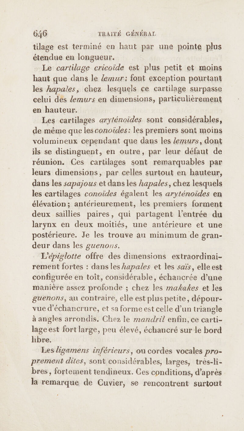 tilage est terminé en haut par une pointe plus étendue en longueur. Le cartilage cricoïde est plus petit et moins haut que dans le lemur; font exception pourtant les hapales, chez lesquels ce cartilage surpasse celui des lemurs en dimensions, particulièrement en hauteur. Les cartilages aryténoïdes sont considérables, de même que lesconoïdes: les premiers sont moins volumineux cependant que dans les lemurs, dont ils se distinguent, en outre, par leur défaut de réunion. Ces cartilages sont remarquables par leurs dimensions, par celles surtout en hauteur, dans les sapajous et dans les hapales, chez lesquels les cartilages conoïdes égalent les aryténoïdes en élévation; antérieurement, les premiers forment deux saillies paires, qui partagent Centrée du larynx en deux moitiés, une antérieure et une postérieure. Je les trouve au minimum de gran¬ deur dans les guenons. L'épiglotte offre des dimensions extraordinai¬ rement fortes : dans les hapales et les sais, elle est configurée en toit, considérable, échancrée d’une manière assez profonde ; chez les makakes et les guenons, au contraire, elle est plus petite, dépour¬ vue d’échancrure, et sa forme est celle d’un triangle à angles arrondis. Chez le mandril enfin, ce carti¬ lage est fort large, peu élevé, échancré sur le bord libre. Les ligamens inférieurs, ou cordes vocales pro¬ prement dites, sont considérables, larges, très-li¬ bres, fortement tendineux. Ces conditions, d’après la remarque de Cuvier, se rencontrent surtout