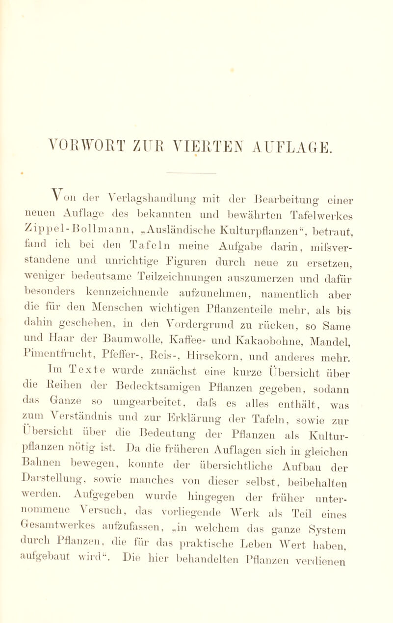 VORWORT ZUR VIERTEN AUFLAGE. V on der Verlagshandlung mit der Bearbeitung einer neuen Auflage des bekannten und bewährten Tafelwerkes Zippel-Bollmann, „Ausländische Kulturpflanzen“, betraut, tand ich bei den Tafeln meine Aufgabe darin, mifsver- standene und unrichtige Figuren durch neue zu ersetzen, weniger bedeutsame Teilzeichnungen auszumerzen und dafür besonders kennzeichnende aufzunehmen, namentlich aber die für den Menschen wichtigen Pflanzenteile mehr, als bis dahin geschehen, in den Vordergrund zu rücken, so Same und Haar der Baumwolle, Kaffee- und Kakaobohne, Mandel, Pimentfrucht, Pfeffer-, Beis-, Hirsekorn, und anderes mehr. Im lexte wurde zunächst eine kurze Übersicht über die heilten der Bedecktsamigen Pflanzen gegeben, sodann das Ganze so umgearbeitet, dafs es alles enthält, was zum Verständnis und zur Erklärung der Tafeln, sowie zur i bersicht über die Bedeutung der Pflanzen als Kultur¬ pflanzen notig ist. Da die früheren Auflagen sich in gleichen Bahnen bewegen, konnte der übersichtliche Aufbau der Darstellung, sowie manches von dieser seil ist, beibehalten werden. Aufgegeben wurde hingegen der früher unter¬ nommene Versuch, das vorliegende Werk als Teil eines Gesamtwerkes aufzufassen, „in welchem das ganze System durch Pflanzen, die für das praktische Leben Wert haben, aulgebaut wird. Die hier behandelten Pflanzen verdienen