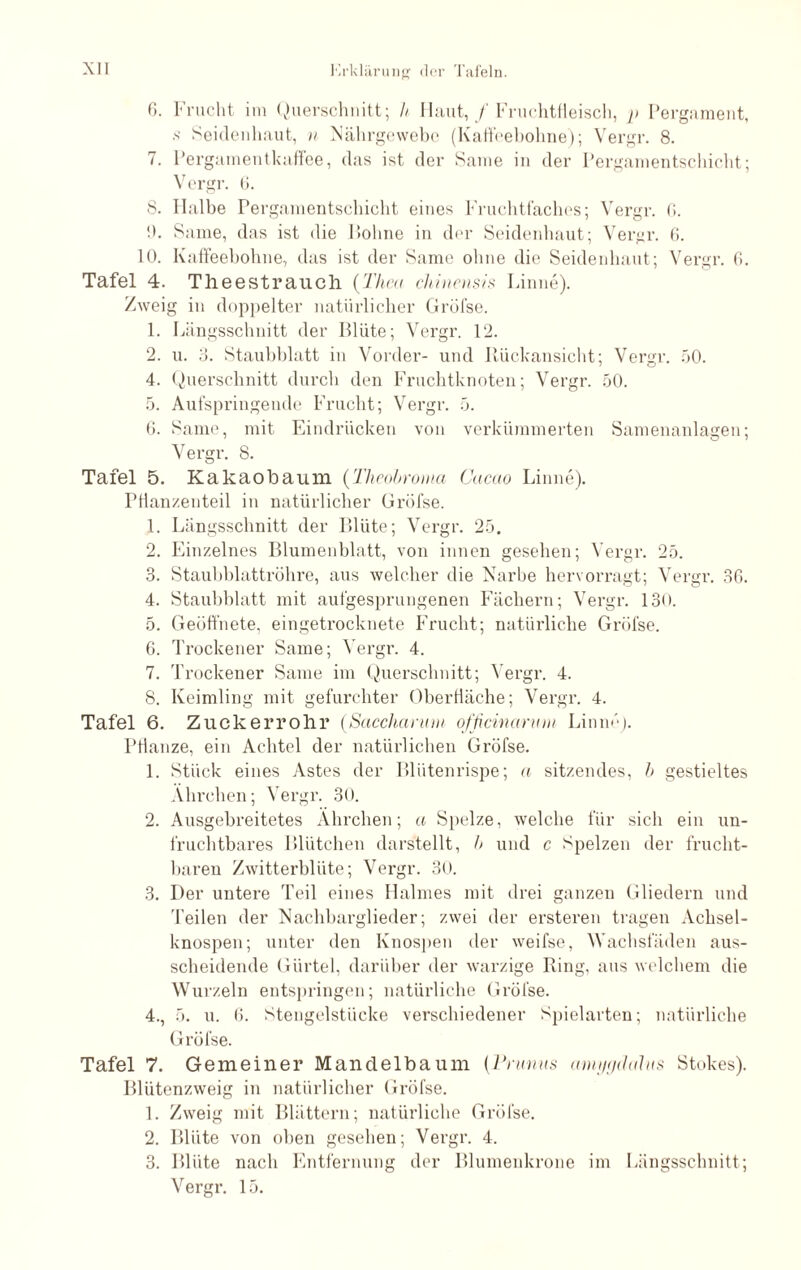 6. Frucht im Querschnitt; h Haut, / Fruchtfleisch, p Pergament, >• Seidenhaut, n Nährgewebe (Kaffeebohne); Vergr. 8. 7. Pergamentkaffee, das ist der Same in der Pergamentschiebt; Vergr. 6. 8. Halbe Pergamentschicht eines Fruchtfaches; Vergr. fl. !). Same, das ist die Holme in der Seidenhaut; Vergr. 6. 10. Kaffeebohne, das ist der Same ohne die Seidenhaut; Vergr. 6. Tafel 4. Tlieestrauch (Thea chinensis Finne). Zweig in doppelter natürlicher Gröfse. 1. Längsschnitt der Blüte; Vergr. 12. 2. u. 3. Staubblatt in Vorder- und Rückansicht; Vergr. 50. 4. Querschnitt durch den Fruchtknoten; Vergr. 50. 5. Aufspringende Frucht; Vergr. 5. 6. Same, mit Eindrücken von verkümmerten Samenanlagen; Vergr. 8. Tafel 5. Kakaobaum (Theobroma Cacao Linne). Ptianzenteil in natürlicher Gi’öfse. 1. Längsschnitt der Blüte ; Vergr. 25. 2. Einzelnes Blumenblatt, von innen gesehen; Vergr. 25. 3. Staubblattröhre, aus welcher die Narbe hervorragt; Vergr. 36. 4. Staubblatt mit aufgesprungenen Fächern; Vergr. 130. 5. Geöffnete, eingetrocknete Frucht; natürliche Grölse. G. Trockener Same; Vergr. 4. 7. Trockener Same im Querschnitt; Vergr. 4. 8. Keimling mit gefurchter Oberfläche; Vergr. 4. Tafel 6. Zuckerrohr (Sacchanun officinarum Linim). Pflanze, ein Achtel der natürlichen Gröfse. 1. Stück eines Astes der Blütenrispe; a sitzendes, h gestieltes Ährchen; Vergr. 30. 2. Ausgebreitetes Ahreben; a Spelze, welche für sich ein un¬ fruchtbares Blütchen darstellt, l> und c Spelzen der frucht¬ baren Zwitterblüte; Vergr. 30. 3. Der untere Teil eines Halmes mit drei ganzen Gliedern und Teilen der Nachbarglieder; zwei der ersteren tragen Achsel¬ knospen; unter den Knospen der weifse, Wachsfäden aus¬ scheidende Gürtel, darüber der warzige Ring, aus welchem die Wurzeln entspringen; natürliche Gröfse. 4., 5. u. 6. Stengelstücke verschiedener Spielarten; natürliche Gröfse. Tafel 7. Gemeiner Manclelbaum (Prunus amyyduhts Stokes). Blütenzweig in natürlicher Gröfse. 1. Zweig mit Blättern; natürliche Gröfse. 2. Blüte von oben gesehen; Vergr. 4. 3. Blüte nach Entfernung der Blumenkrone im Längsschnitt;