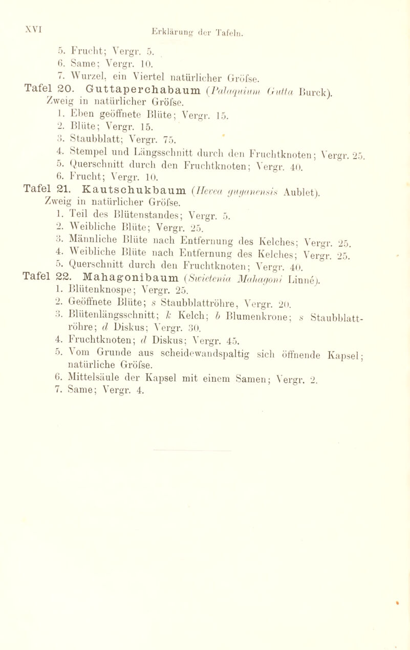 5. Frucht; Vergr. 5. 6. Same; Vergr. 10. 7. Wurzel, ein Viertel natürlicher Gröfse. Tafel 20. Guttaperchabaum (Valaqidum (hitta Burck). Zweig in natürlicher Gröfse. 1. Eben geöffnete Blüte; Vergr. 15. 2. Blüte; Vergr. 15. 3. Staubblatt; Vergr. 75. 4. Stempel und Längsschnitt durch den Fruchtknoten; Vergr. 25. o. Querschnitt durch den Fruchtknoten; Vergr. 40. 6. Frucht; Vergr. 10. Tafel 21. Kautschukbauni {Hevea ynyanrnsis Aublet). Zweig in natürlicher Gröfse. 1. Teil des Blüten Standes; Vergr. 5. 2. Weibliche Blüte; Vergr. 25. 3. Männliche Blüte nach Entfernung des Kelches; Vergr. 25. 4. Weibliche Blüte nach Entfernung des Kelches; Vergr. 25. o. Querschnitt durch den P ruchtknoten; Vergr. 40. Tafel 22. Mahagonibaum (Swietenia Mahagoni Linnej. 1. Blütenknospe; Vergr. 25. 2. Geöffnete Blüte; s Staubblattröhre, Vergr. 2o. 3. Blütenlängsschnitt; k Kelch; b Blumenkrone; s Staubblatt¬ röhre; d Diskus; Vergr. 30. 4. Fruchtknoten; d Diskus; Vergr. 45. 5. Vom Grunde aus scheidewandspaltig sich öffnende Kapsel; natürliche Gröfse. 6. Mittelsäule der Kapsel mit einem Samen; Vergr. 2.