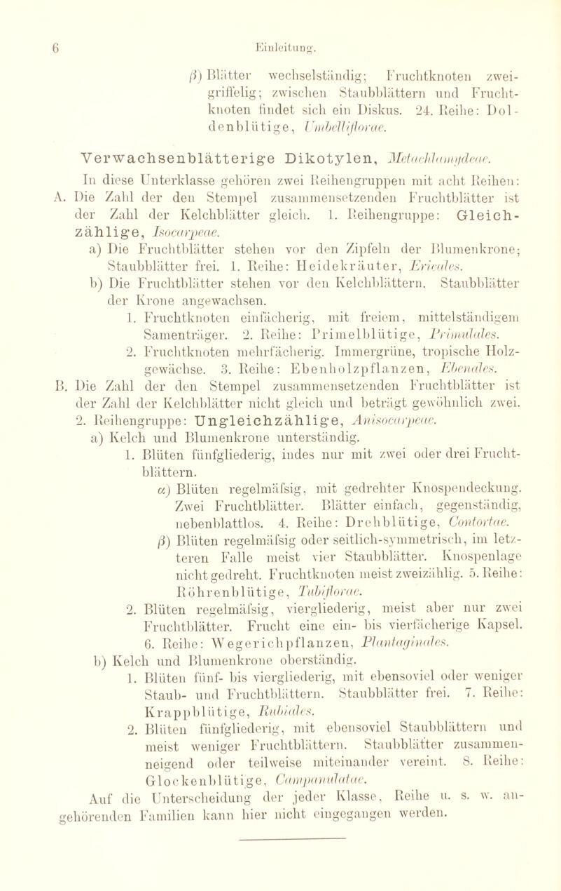 /I) Blätter wechselständig; Fruchtknoten zwei- griffelig; zwischen Staubblättern und Frucht¬ knoten findet sich ein Diskus. 24. Reihe: Dol- denblütige, limbelliflorae. Yerwachsenblätterige Dikotylen, Mehtchhumidcae. In diese Unterklasse gehören zwei Reihengruppen mit acht Reihen: A. Die Zahl der den Stempel zusammensetzenden Fruchtblätter ist der Zahl der Kelchblätter gleich. 1. Reihengruppe: Gleich- zäh 1 ige, Isocarpeae. a) Die Fruchtblätter stehen vor den Zipfeln der Blumenkrone; Staubblätter frei. 1. Reihe: Heidekräuter, Ericales. b) Die Fruchtblätter stehen vor den Kelchblättern. Staubblätter der Krone angewachsen. 1. Fruchtknoten einfächerig, mit freiem, mittelständigem Samenträger. 2. Reihe: Primelblütige, Primulales. 2. Fruchtknoten mehrfächerig. Immergrüne, tropische IIolz- gewächse. 3. Reihe: Ebenholzpflanzen, Ebenales. B. Die Zahl der den Stempel zusammensetzenden Fruchtblätter ist der Zahl der Kelchblätter nicht gleich und beträgt gewöhnlich zwei. 2. Reihengruppe: Ungleichzählige, Anisocarpeae. a) Kelch und Blumenkrone unterständig. 1. Blüten fünfgliederig, indes nur mit zwei oder drei Frucht¬ blättern. a) Blüten regelmäfsig, mit gedrehter Knospendeckung. Zwei Fruchtblätter. Blätter einfach, gegenständig, nebenblattlos. 4. Reihe: Drehbliitige, Contortae. ji) Blüten regelmäfsig oder seitlich-symmetrisch, im letz¬ teren Falle meist vier Staubblätter. Knospenlage nicht gedreht. Fruchtknoten meist zweizählig. 5. Reihe: Röhrenbliitige, Tubiflorae. 2. Blüten regelmäfsig, viergliederig, meist aber nur zwei Fruchtblätter. Frucht eine ein- bis vierfächerige Kapsel. 6. Reihe: \Vegerichpflanzen, Plantaginales. b) Kelch und Blumenkrone oberständig. 1. Blüten fünf- bis viergliederig, mit ebensoviel oder weniger Staub- und Fruchtblättern. Staubblätter frei. 7. Reihe: Kr appb lü ti g e, Rubi nies. 2. Blüten fünfgliederig, mit ebensoviel Staubblättern und meist weniger Fruchtblättern. Staubblätter zusammen¬ neigend oder teilweise miteinander vereint. 8. Reihe: Glockenblütige, Campamilatae. Auf die Unterscheidung der jeder Klasse, Reihe u. s. w. an¬ gehörenden Familien kann hier nicht eingegangen werden.