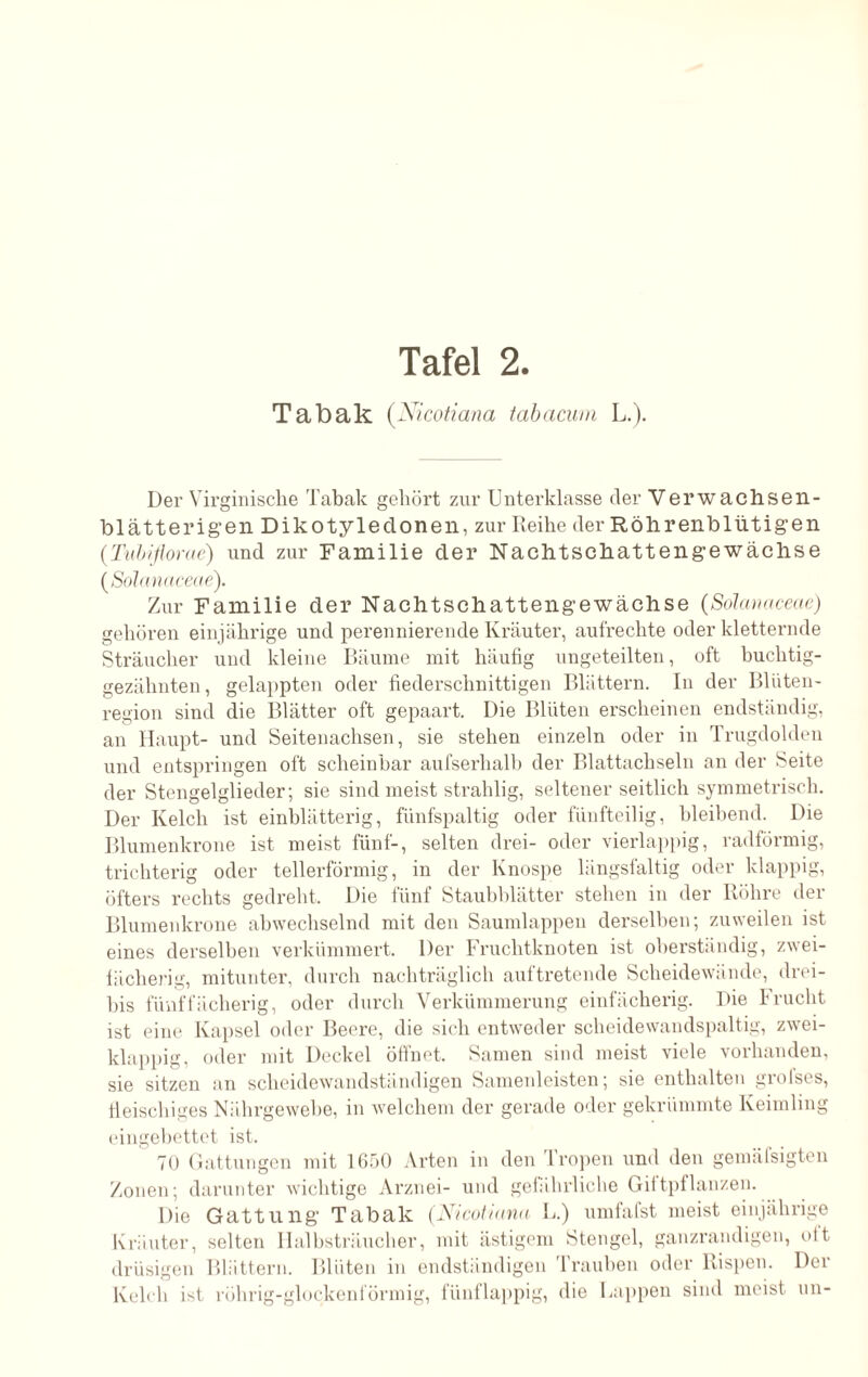 Tabak (Nicotiana tabacum L.). Der Virgin ische Tabak gehört zur Unterklasse der V er wachse 11- blätterigen Dikotyleclonen, zur Reihe der Röhrenblütigen (Tubiflorae) und zur Familie der Nachtschattengewächse (Solanaceae). Zur Familie der Nachtschattengewächse {Solanaceae) gehören einjährige und perennierende Kräuter, aufrechte oder kletternde Sträuchen und kleine Bäume mit häufig ungeteilten, oft buchtig- gezähnten, gelappten oder fiederschnittigen Blättern. In der Blüten- region sind die Blätter oft gepaart. Die Blüten erscheinen endständig, an Haupt- und Seitenachsen, sie stehen einzeln oder in Trugdolden und entspringen oft scheinbar aufserhall) der Blattachseln an der Seite der Stengelglieder; sie sind meist strahlig, seltener seitlich symmetrisch. Der Kelch ist einblätterig, fünfspaltig oder fünfteilig, bleibend. Die Blumenkrone ist meist fünf-, selten drei- oder vierlappig, radförmig, trichterig oder tellerförmig, in der Knospe längsfaltig oder klappig, öfters rechts gedreht. Die fünf Staubblätter stehen in der Röhre der Blumenkrone abwechselnd mit den Saumlappen derselben; zuweilen ist eines derselben verkümmert. Der Fruchtknoten ist oberständig, zwei- fächerig, mitunter, durch nachträglich auftretende Scheidewände, drei- bis fünffächerig, oder durch Verkümmerung einfächerig. Die Frucht ist eine Kapsel oder Beere, die sich entweder scheidewandspaltig, zwei- klappig, oder mit Deckel öffnet, Samen sind meist viele vorhanden, sie sitzen an scheidewandständigen Samenleisten; sie enthalten grolses, fleischiges Nährgewebe, in welchem der gerade oder gekrümmte Keimling eingebettet ist. 70 Gattungen mit 1650 Arten in den Tropen und den gemäfsigten Zonen; darunter wichtige Arznei- und gefährliche Giftpflanzen. Die Gattung’ Tabak (Nicotiana L.) umfafst meist einjährige Kräuter, selten Halbsträucher, mit ästigem Stengel, ganzrandigen, oft drüsigen Blättern. Blüten in endständigen Trauben oder Rispen. Der Kelch ist rührig-glockenförmig, fünflappig, die Lappen sind meist un-