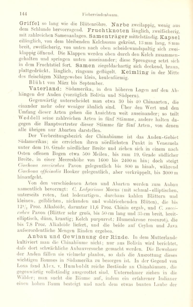 Griffel so hing wie die Bliitenrühre. Narbe zweilappig, wenig aus dem Schlunde hervorragend. Fruchtknoten länglich, zweifächerig, mit zahlreichen Samenanlagen. Samenträger mittelstänrlig. Kapsel eilänglich, von dem bleibenden Kelchsaum gekrönt, 13 mm lang, 8 mm breit, zweitächerig, von unten nach oben scheidewandspaltig sich zwei- klappig öffnend. Die Klappen werden oben durch den Kelch zusammen¬ gehalten und springen unten auseinander; diese Sprengung setzt sich in dem fiuchtstiel fort. Samen ziegeldachartig sich deckend, braun, plattgedrückt, länglich, ringsum geflügelt. Keimling in der Mitte des fleischigen Nährgewebes klein, keulenförmig Blüht von März bis September. Vaterland: Südamerika, in den höheren Lagen auf den Ab¬ hängen der Anden (vorzüglich Bolivia und Südperu). Gegenwärtig unterscheidet man etwa 30 bis 40 Chinaarten, die einander mehr oder weniger ähnlich sind. Über den Wert und den Umfang dieser Arten gehen die Ansichten weit auseinander; so teilt Wed de 11 seine zahlreichen Arten in fünf Stämme, andere halten da¬ gegen die Hauptvertreter dieser Stämme für fünf Arten, von denen alle übrigen nur Abarten darstellen. Der Verbreitungsbezirk der Chinabäume ist das Anden-Gebiet Südamerikas; sie erreichen ihren nördlichsten Punkt in Venezuela unter dem 10. Grade nördlicher Breite und ziehen sich in einem nach Osten offenen Bogen etwa 500 Meilen, bis zum 19. Grade südlicher Breite, in einer Meereshöhe von 1600 bis 2400m hin; doch steigt Cinchona succirubm Pavon gelegentlich bis 800 m hinab, während Cinchona officinalis Hooker gelegentlich, aber verkrüppelt, bis 3000m hinaufgeht. Von den verschiedenen Arten und Abarten werden zum Anbau namentlich bevorzugt: C. Ledgeriann Moens (mit schmal-elliptischen, unterseits roten, fast lederartigen, durchaus kahlen Blättern und kleinen, gelblichen, nickenden und wohlriechenden Blüten), die bis 12Va Pi'oz. Alkaloide, darunter 11,6 Proz. Chinin ergab, und C. succi- rubra Pavon (Blätter sehr grols, bis 50 cm lang und 35 cm breit, breit¬ elliptisch, dünn, krautig; Kelch purpurrot; Blumenkrone rosenrot), die bis 7,8 Proz. Alkaloide liefert, und die beide auf Ceylon und Java aufserordentliche Mengen Rinden ergeben. Anbau und Gewinnung* der Kinde. In dem Mutterlande kultiviert man die Chinabäume nicht; nur aus Bolivia wird berichtet, dafs dort schwächliche Anbauversuche gemacht werden. Die Bewohner der Anden fällen sie vielmehr planlos, so dafs die Ausrottung dieses wichtigen Baumes in Südamerika zu besorgen ist. In der Gegend von Loxa fand Alex. v. Humboldt reiche Bestände an Chinabäumen, die gegenwärtig vollständig ausgerottet sind. Unternehmer ziehen in die Mäkler; man sucht die Bäume auf, indem ein erfahrener Indianer einen hohen Baum besteigt und nach dem etwas bunten Laube der