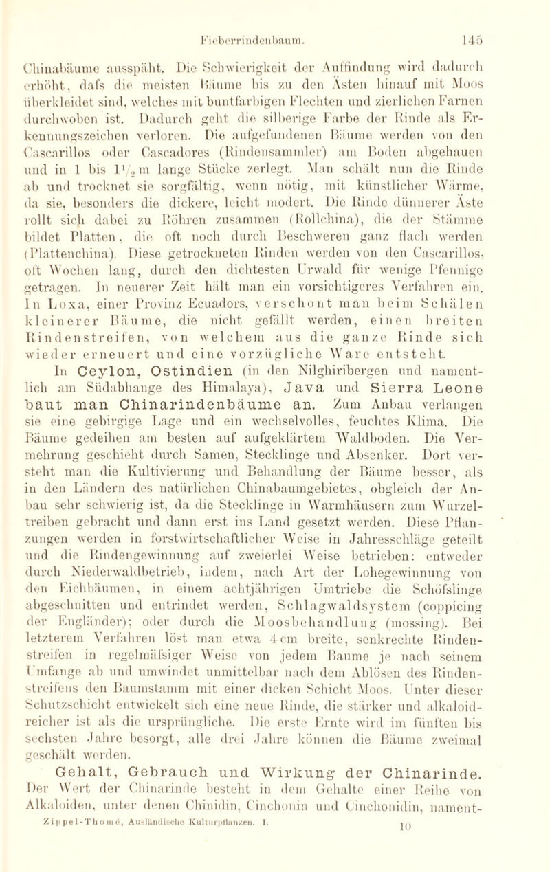 Chinabäume ausspäht. Die Schwierigkeit der Auffindung wird dadurch erhöht, dafs die meisten Bäume bis zu den Ästen hinauf mit Moos überkleidet sind, welches mit buntfarbigen Flechten und zierlichen Farnen durchwoben ist. Dadurch geht die silberige Farbe der Rinde als Er¬ kennungszeichen verloren. Die aufgefundenen Biiume werden von den Cascarillos oder Cascadores (Rindensammler) am Boden abgehauen und in 1 bis ll/,m lange Stücke zerlegt. Man schält nun die Rinde ab und trocknet sie sorgfältig, wenn nötig, mit künstlicher Wärme, da sie, besonders die dickere, leicht modert. Die Rinde dünnerer Aste rollt sich dabei zu Röhren zusammen (Rollchina), die der Stämme bildet Platten, die oft noch durch Beschweren ganz flach werden {Plattenchina). Diese getrockneten Rinden werden von den Cascarillos, oft Wochen lang, durch den dichtesten Urwald für wenige Pfennige getragen. In neuerer Zeit hält man ein vorsichtigeres Verfahren ein. ln Loxa, einer Provinz Ecuadors, verschont man beim Schälen kleinerer Bäume, die nicht gefällt werden, einen breiten Rindenstreifen, von welchem aus die ganze Rinde sich wieder erneuert und eine vorzügliche Ware entsteht. In Ceylon, Ostindien (in den Nilghiribergen und nament¬ lich am Südabhange des Himalaya), Java und Sierra Leone baut man Chinarindenbäume an. Zum Anbau verlangen sie eine gebirgige Lage und ein wechselvolles, feuchtes Klima. Die Bäume gedeihen am besten auf aufgeklärtem Waldboden. Die Ver¬ mehrung geschieht durch Samen, Stecklinge und Absenker. Dort ver¬ steht man die Kultivierung und Behandlung der Bäume besser, als in den Ländern des natürlichen Chinabaumgebietes, obgleich der An¬ bau sehr schwierig ist, da die Stecklinge in Warmhäusern zum Wurzel¬ treiben gebracht und dann erst ins Land gesetzt werden. Diese Pflan¬ zungen werden in forstwirtschaftlicher Weise in Jahresschläge geteilt und die Rindengewinnung auf zweierlei Weise betrieben: entweder durch Niederwaldbetrieb, indem, nach Art der Lohegewinnung von den Eichbäumen, in einem achtjährigen Umtriebe die Schöfslinge abgeschnitten und entrindet werden, Schlagwaldsystem (coppicing der Engländer); oder durch die Moosbehandlung (mossing). Bei letzterem Verfahren löst man etwa 4cm breite, senkrechte Rinden¬ streifen in regelmäfsiger Weise von jedem Baume je nach seinem Umfange ab und umwindet unmittelbar nach dem Ablösen des Rinden¬ streifens den Baumstamm mit einer dicken Schicht Moos. Unter dieser Schutzschicht entwickelt sich eine neue Rinde, die stärker und alkaloid¬ reicher ist als die ursprüngliche. Die erste Ernte wird im fünften bis sechsten .lahre besorgt, alle drei Jahre können die Bäume zweimal geschält werden. Gehalt, Gebrauch und Wirkung’ der Chinarinde. Der Wert der Chinarinde besteht in dem Gehalte einer Reihe von Alkaloiden, unter denen Chinidin, Cinchonin und Cinehonidin, nament- Z i p pe 1 - Th o in <5, Ausländische Kulturpflanzen. 1. 10