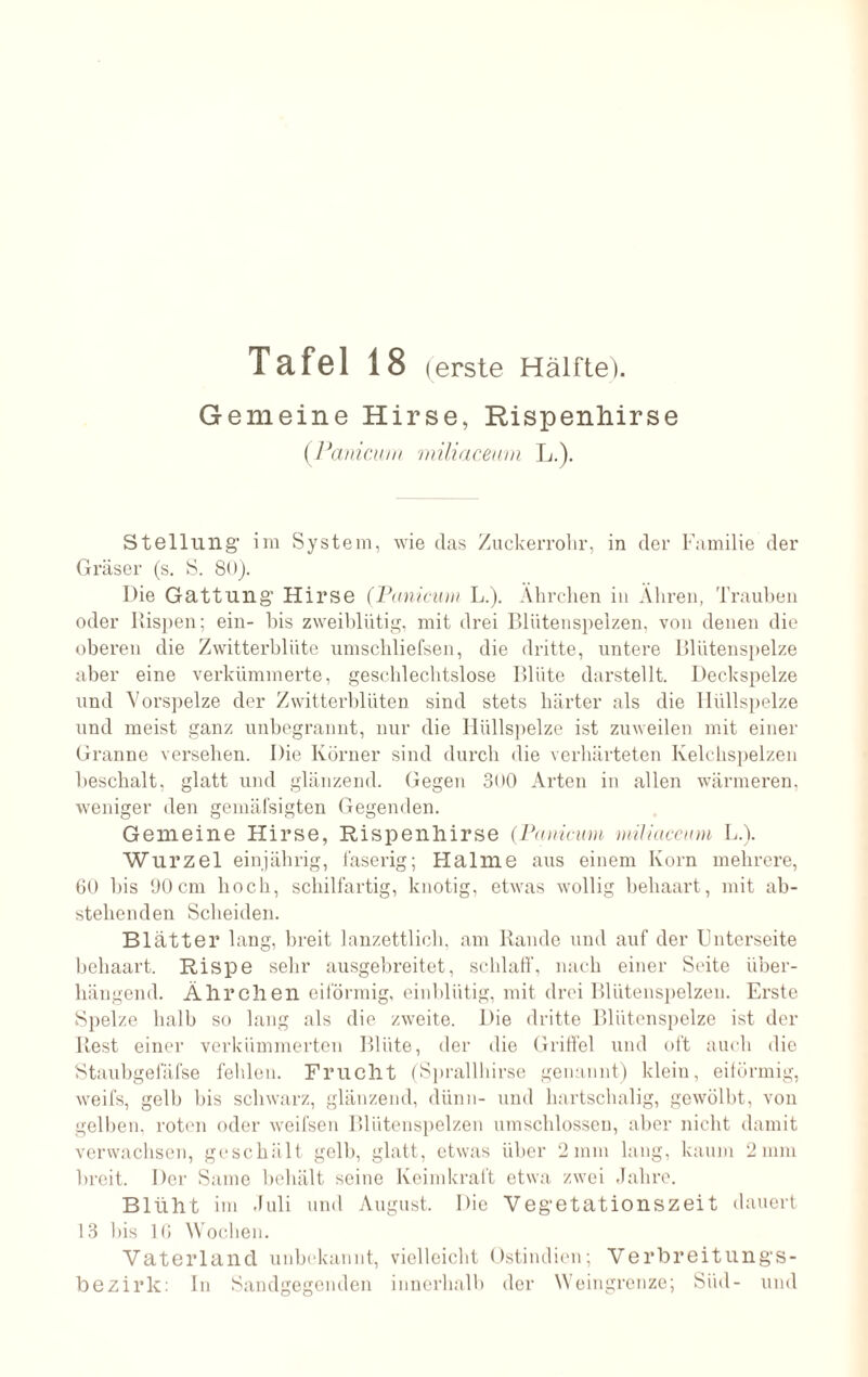 Gemeine Hirse, Rispenhirse (Panicum miliaceurn L.). Stellung' im System, wie das Zuckerrohr, in der Familie der Gräser (s. S. 80). Die Gattung' Hirse (Panicum L.). Ährchen in Ähren, Trauben oder Rispen; ein- bis zweiblütig, mit drei Bli'itenspeizen, von denen die oberen die Zwitterblüte umschliefsen, die dritte, untere Blütenspelze aber eine verkümmerte, geschlechtslose Blüte darstellt. Deckspelze und Vorspelze der Zwitterblüten sind stets härter als die Hüllspelze und meist ganz unbegrannt, nur die Hüllspelze ist zuweilen mit einer Granne versehen. Die Körner sind durch die verhärteten Kelchspelzen beschält, glatt und glänzend. Gegen 3(>0 Arten in allen wärmeren, weniger den gemäfsigten Gegenden. Gemeine Hirse, Rispenhirse (Panicum miliaceurn L.). Wurzel einjährig, faserig; Halme aus einem Korn mehrere, 60 bis 00cm hoch, schilfartig, knotig, etwas wollig behaart, mit ab¬ stehenden Scheiden. Blätter lang, breit lanzettlich, am Rande und auf der Unterseite behaart. Rispe sehr ausgebreitet, schlaff, nach einer Seite über¬ hängend. Ährchen eiförmig, einblütig, mit drei Blütenspelzen. Erste Spelze halb so lang als die zweite. Die dritte Blütenspelze ist der liest einer verkümmerten Blüte, der die Griffel und oft auch die Staubgefäfse fehlen. Frucht (Sprallhirse genannt) klein, eiförmig, weifs, gelb bis schwarz, glänzend, dünn- und hartschalig, gewölbt, von gelben, roten oder weifsen Blütenspelzen umschlossen, aber nicht damit verwachsen, geschält gelb, glatt, etwas über 2mm lang, kaum 2mm breit. Der Same behält seine Keimkraft etwa zwei Jahre. Blüht im Juli und August. Die Veg-etationszeit dauert 13 bis 16 Wochen. Vaterland unbekannt, vielleicht Ostindien; Verbreitung'S- bezirk: In Sandgegenden innerhalb der Weingrenze; Süd- und