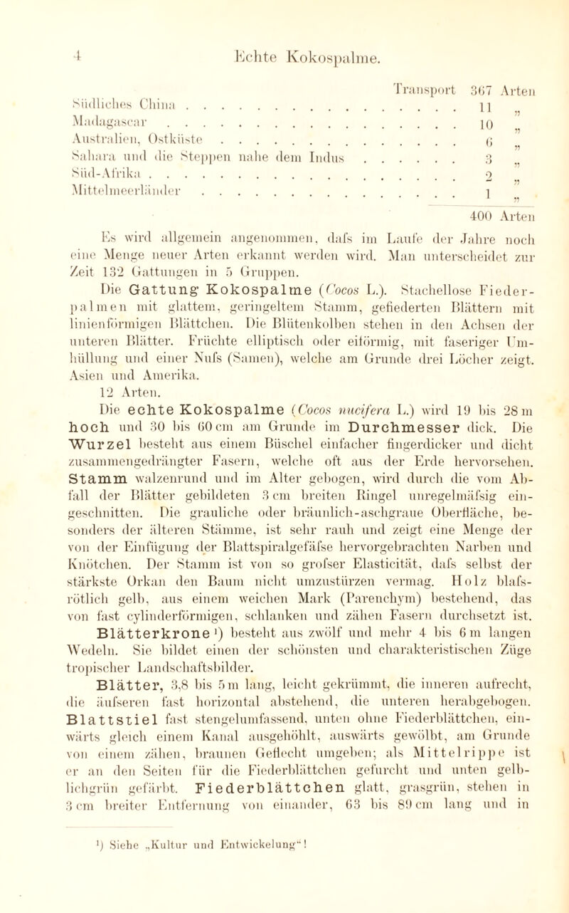 367 Arten Südliches China. Madagascar. Australien, Ostküste. Sahara und die Steppen nahe dem Indus Süd-Afrika. Mittelmeerländer. Transport 11 10 (1 o r> 5? ?5 1 400 Arten Es wird allgemein angenommen, dafs im Laufe der Jahre noch eine Menge neuer Arten erkannt werden wird. Man unterscheidet zur Zeit 132 Gattungen in 5 Gruppen. Die Gattung Kokospalme (Cocos L.). Stachellose Fieder- palmen mit glattem, geringeltem Stamm, gefiederten Blättern mit linienförmigen Blättchen. Die Blutenkolben stehen in den Achsen der unteren Blätter. Früchte elliptisch oder eiförmig, mit faseriger Um¬ hüllung und einer Nufs (Samen), welche am Grunde drei Löcher zeigt. Asien und Amerika. 12 Arten. Die eclite Kokospalme (Cocos nucifera L.) wird 19 bis 28m hoch und 30 bis 60cm am Grunde im Durchmesser dick. Die Wurzel besteht aus einem Büschel einfacher fingerdicker und dicht zusammengedrängter Fasern, welche oft aus der Erde hervorsehen. Stamm walzenrund und im Alter gebogen, wird durch die vom Ab¬ fall der Blätter gebildeten 3 cm breiten Ringel unregelmäfsig ein¬ geschnitten. Die grauliche oder bräunlich-aschgraue Oberfläche, be¬ sonders der älteren Stämme, ist sehr rauh und zeigt eine Menge der von der Einfügung der Blattspiralgefäfse hervorgebrachten Narben und Knötchen. Der Stamm ist von so grofser Elasticität, dafs selbst der stärkste Orkan den Baum nicht umzustürzen vermag. Holz blafs- rötlich gelb, aus einem weichen Mark (Parenchym) bestehend, das von fast cylinderförmigen, schlanken und zähen Fasern durchsetzt ist. Blätterkrone1) besteht aus zwölf und mehr 4 bis 6 m langen Wedeln. Sie bildet einen der schönsten und charakteristischen Züge tropischer Landschaftsbilder. Blätter, 3,8 bis 5m lang, leicht gekrümmt, die inneren aufrecht, die äufseren fast horizontal abstehend, die unteren herabgebogen. Blattstiel fast stengelumfassend, unten ohne Fiederblättchen, ein¬ wärts gleich einem Kanal ausgehöhlt, auswärts gewölbt, am Grunde von einem zähen, braunen Geflecht umgeben; als Mittel rippe ist er an den Seiten für die Fiederblättchen gefurcht und unten gelb¬ lichgrün gefärbt. Fiederblättchen glatt, grasgrün, stellen in 3 cm breiter Entfernung von einander, 63 bis 89 cm lang und in \ ]) Siehe „Kultur und Entwickelung“!