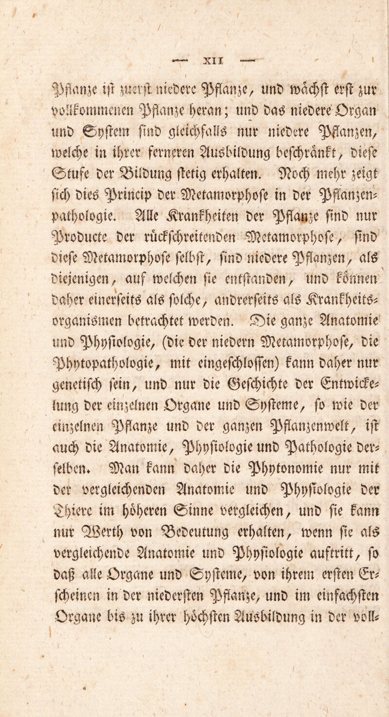 's j, I —■- XII —  \ I Pftonje tfl $uerft nkbcrc Pflanje, unb mach ft ct'ft jur poUbommenen Pflanje heran; unb bas niebere Organ unb ©pftem ftnb gleichfalls nur niebere Pftanjen, welche in if>rcr ferneren lllusbilbung befchrdnbt, biefe ©tufe ber Gilbung jtetig erhalten. 9lcch mehr jeigt ficf) bies Princip ber Dtetamorphofe in ber .fJVjTdnjen* Pathologie. Stile i?ranbheifen ber Pftanje ftnb nur probucfe ber rücffchreitenben Dletamorphofe, ftnb biefe Dtetamorphofe felbft, ftnb niebere Pflanjen, als y biejentgen, auf »eichen fie entftanben, tmb bonnen baher einerfeits als folche, anbrerfeits als .^ranbheits« Organismen betrautet »erben, SDte ganjc Slnatomte unb Philologie, (bic ber niebern Dletamorpfwfe, bie Phytopathologie, mit eingefdflofien) bann baher nur genetifd) fein, unb nur bic ©efchichte ber €ntmicbe* lung ber einzelnen Organe unb ©yfteme, fo wie bet* einseinen Pfktnje unb ber ganzen Pftanjenwelf, ijt auch bie Slnatomie, phyfiologie unb Pathologie ber« felbcn. Dian bann ba!>er bie ^M>t>fonomie nur mit ber sergteidfenben Anatomie unb Philologie ber $h_iere im höheren ©inne vergleichen, unb fie bann nur fiBerth von Sßebeutung erhalten, menn fie als vergleichenbe Anatomie unb Philologie auftritt, fo baj? alle Organe unb ©t)(lerne, von ihrem erflen Sr* fcheinen in ber nieberjten ppan'se, unb im einfachflen Organe bis ju ihrer hofften SiuShilbung in ber voll« 4