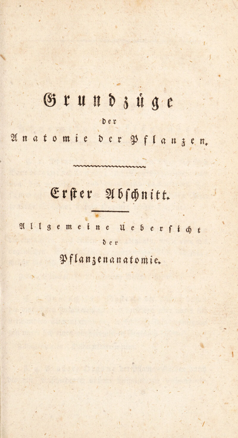 > £■ ' ■ ' - *•' ■ ': ,* '  '* '\ \ . ., / * i • ’. . f i > • ■%» %  < * .» © t U II D $ Ö g'£ , Dev Anatomie S> e r f ( « n j c nt i \ f » 4 ' ^ , C \ ) _ £r(fee ^Gfcpiutt Allgemeine U e 6 e r f \ $ t Der ^fknjeußnafomie» j - » \ / I /