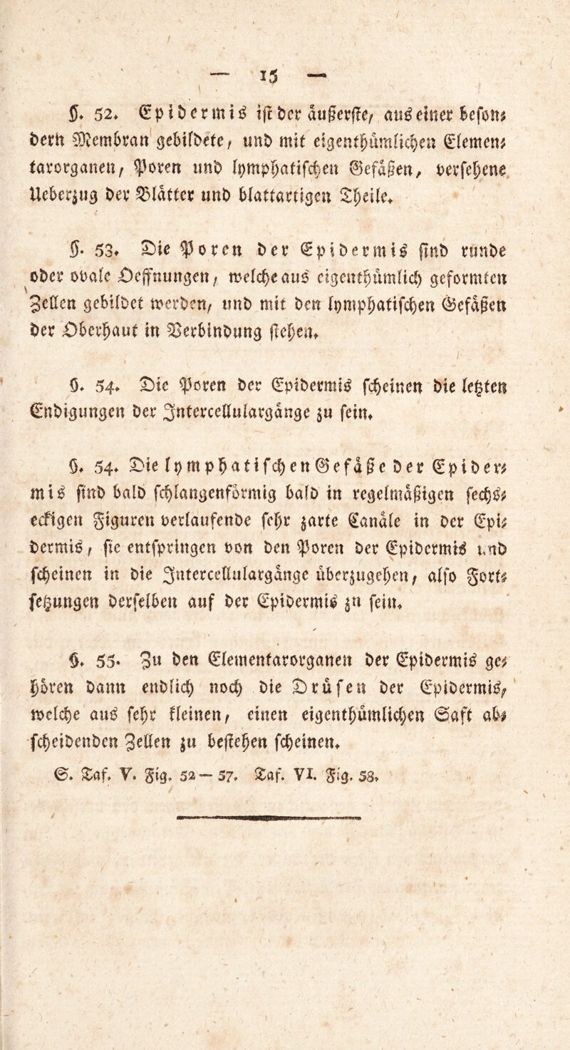 bern ®embran c^ebifbete / unb mit eigentümliche« Clemens tavorgane«; $oten unt) ipmphatifcheu (Befdgen, oerfeljene Ueber^ug bev Glättet uni) blattartigen Speile* 55- 53* £ie Voten bet* €pibermil finb runbe ober ooale Segnungen; meiere aus ägentijumlid) geformten $cUcn gebilbet merbett/ unb mit ben Ipmphatifcgen Ö3efdgett bet Sberljaut in SSerbinbung gemein 9. 54* T>ie Sporen ber (£ptbermi£ jefeinen bie legten (Enbigungen bei* 3«tercellulatgdnge 5« feim V , k •. • ■ -<t% > r, 9» 54♦ Sie lpmp!>atifcf)en®efdgcDee Qc p i b e r* ntt^ ftnb halb fd)langenfbrmig ba(D in regelmdgigen fec§& eefigen giguren oerlaufenbe fe^t* ^artc handle in Der Qcpi; betmiß f fte entspringen non ben Sporen ber €pibcrmi$ unb fc^einen in bie 3uterceflulatgdnge ubequge^en / alfo gort£ fegnngen berfelben auf ber (EpibermU $« fein, 9* 55- 3« ben €lemenfarotganett ber €pibermi£ ge^ $ken bann enblid) nod) bie Stufen ber €pibermi^ n>eld)e auP fegt Heine«; einen eigentümlichen @aft ab* fegeibenben 3eilen $u begehen fd)einem 0. £af» Y» gtg, 52—57. £af. VI. gig. 58»