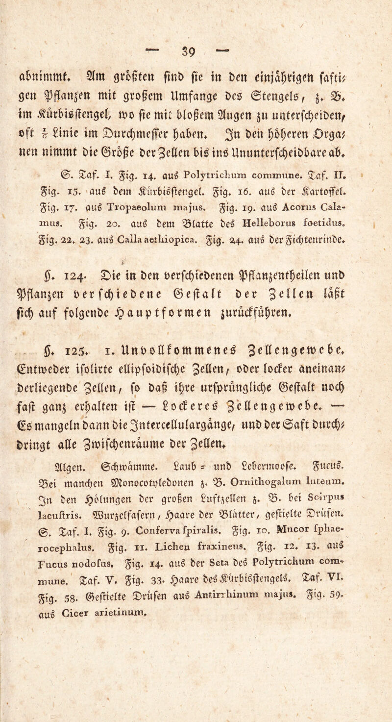 afmimmf. 2tm gtogtcn fint> fic in bat einjafjdgen faftb gen 33gan$en mit gtogem Umfange bcs 6tengel$, $♦ im ^ürbisgcnget, mo fte mit blogem Gingen $u unterfd)eiben/ ©ft § £inie im £)utd)meffec fjaben. 3n beit ^e^eren £)rga* tten nimmt bie©roge ber Betten bi0insUnuntcrfd)eibbareab. 0« £af. X. 14. ött£ Polytrichum commune. £ßf. H. $tg. i5. au6 bem $urbt£gengeL gtg. 16. au6 ber Kartoffel* $tg. 17. ßu£ Tropaeolum majus. I9' Acorus Cala- mus. §tg. 20. aus beut Statte be£ Helleborus foetidus. §tg, 22. 23. auö Calla aethiopica. gtg. 24. au$ ber gtebtenrinbe* t $♦ 124. £)ie in ben becfcf)tebenen $gan$enttjeiten unb $J3ftan$en t>erfd)iebene ©egalt ber Betten tagt ftef) auf fotgenbe .^auptformen jjurucffufjrem $♦ i25> i* UnPottfontmene^ Bettengemcbe. ßntroeber ifotirte e(üpfoibifd)e Betten, ober (oder aneinam bediegenbe Betten, fo bag if)t*e urfprunglid)e ©egalt nod) fag gan$ ermatten ig — £ocbere0 Bettcngemcbe* — €0 mangeln bann bie gntercetlutargdnge, tmb bet 0aft bittet bringt ade Bwif^enrdume bet Betten. tilgen. ©cfwantme. £aub 5 ttnb Sebermoofe. $ucu$. 33et manchen SDtonocotdebonen 5« 33. Ornithogalum luteum. 3n ben gelungen ber groben £uftj eilen $♦ 35. bei Sclrpu* lacuftris. $öurselfafern / S)aare ber sBidtter, gegteltc prüfen* ©. Xaf. I. gig, 9* Conferva fpiralis. gtg. 10. Mucor fphae- rocepiialus. $ig. 11. Lichen fraxineus. $tg. 12. 13. att'S Fucus nodofus. §ig. 14. au$ ber Seta bc£ PolytTichum com- mune. £af. V. gig. 33- £aare beSÄbtSgengelS. Zaf. vr. ß(g. 58. ©egtelte Prüfen auS Antirrhinum majus. gig. 59- Cicer arietinum.