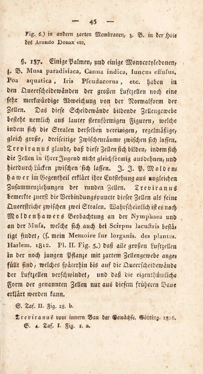 I Fig. 60 in andern sarten Sftem&ranen, 5. B. m ber $6ie be*> Arundo Donax etc, «** t ' $♦ 137«* ßHttige ^alrnett/ pnb einige SWonocetplebonen/ B. Musa paradisiaca, Canna indica, luncus effufus, Poa aquatica , Iris Pfeuäacorus , etc. f)a&Clt in beit £iueerfd)cibetbänben ber groffcn Juft$etten noch eine fef)r merfabürbige €lbn>eic^ung bon ber ^ormalform ber Sellen. £>a£ biefc ©cheibemanbe bilbenbe Sellengemebe befreit nemüch aug lauter ffernformigen giguren/ welche inbem (ich bie ©traten berfelben bereinigen/ regelmagigc/- gtetcb ö^bge, breifeitige Stbifchenranme gtbifchett ffd) taffen.. £rebiranu$ glaubt/ bag biefe Selten ffchbilbett/ inbemffcf) fcie Selten in itjrer^ugenb nicht gleichförmig au^beffnett/nnb hicrburch £ücfen $mifd)en ftd) taffen. 3. 3. $. Kolben* ^ a m e r im ©egentfjeü erftart i^re gnfffefjung au£ ungleichen Sufammen^iehungen ber runben Selten. £rebiranu$ fcemerfte ^uerff bieBerbinbungepuncte biefer Selten aI3 feine £lueerffrid)e §mifd)en jmei ©traten. 2Sabrjcbeintid)iffe^nacb Kolbenban>er£ Beobachtung an ber Nympiiaea mib an ber Mufa, twlche (ich auch bei Scirpus lacußris beffcb tigt finbet/ (f. mein Memoire für lorganis. des plantes. Hartem, lßis. PI. II. Fig. 5,) bag alte grogen £uft$elten in ber noch jungen sj3ffan$e mit jartem Seltengemebe ange^ füllt ffnb/ welche^ fpaterhin bi$ auf Die &ueerfcheiDett>anbe ber Suftjettett berfchminbef/ unb bag Die eigentümliche gorm oer genannten Sellen nur au£ biefem früheren Bane erfjart rnerben fann. 0. £af. II. gtg, 18- fr» SveoiranuS bom Innern Bau ber Patting* 1506, ©» 4, Stof. I gtg. 1, 2. - - > '■ ' v - .*0 • . . •>