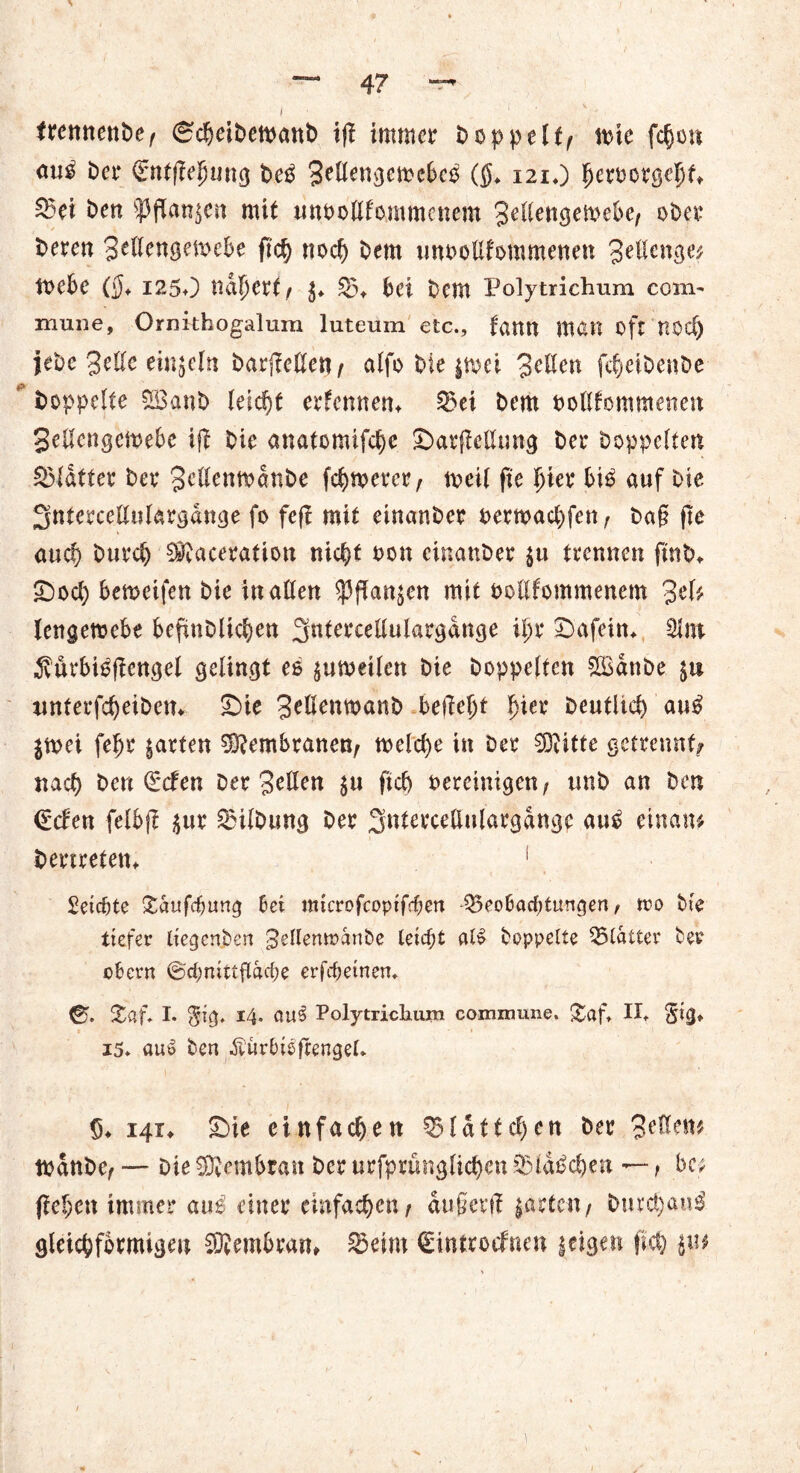 trennenbe/ (Sdjeibemanb i(T immer Doppelt/ tote feßott <tu^ bet* £ntf?e|mng beß 3ellengemebcß ($♦ 121O fjeroorgc|jf, 23ei ben fangen mit tmoollfommcnem 3eUen<jen>e6e, ober beren 3eKen0en>ebe ftety nod) bem unoollfommenen %elUn$M mebe ($♦ 1250 nal)cr( / $♦ B* bei bem Polytrichum coim rnuiie, Ornithogalura luteum etc., faun matt oft nod) jebe 3ettc einzeln barjMet?/ alfo bie gtoei 3eßen fe^eibettbe * hoppelte SBanb leiefjf erfennen* Bei bem bollfommenen Sellengemebe i(t bie anatomifcfye ©arfielltwg bet* Doppelten Blatter bet* 3ellenmdnbe fermerer, tx>cil fte fjier biß auf bie ^ntercellulargdnge fo fefi mit einanber bewarfen r ba§ fte attd) buvd) Sftaceration nic^t bon einanber gu trennen frnb* £)od) bemeifen bie in allen fangen mit bollfommenem 3elf lengemebe befmblicfyen 3«lercellulargdnge tfjr £>afein* 21m «jvürbtßficngel gelingt es gunmlen bie hoppelten $Bdttbe gu «nterfcfjeibem £>ie 3eßembanb befielt Ijier Deutltd) auß gmei fe^r garten Membranen, tbelcfye in ber $3iitte getrennt/ nad) bcu Qecfen ber %cUen gu fid) bereinigen/ tmb an ben (Eden felbjl gut* Gilbung ber Sntercellulargangc auß einam bemeten* 1 Seichte £dufcfjurtg bei mtcrofcoptfcben Beobachtungen/ »ro bie tiefer Itegen.ben gellemoartbe teicf;t alß hoppelte Blatter her obern (Schnittfläche erfchetnen» 6i. %üf. I. $tg. 14. aus Polytrichum commune, gaf* II* Sig* 15* auo ben ÄurbtefrengeL §♦ 141* £>ie einfachen Blatteten ber todnbe/ — Die SRem&rati ber urfprünglidjcu Bldßdjen —, be; fielen immer auß einer einfachen/ dußetii garten/ burctyauß gleichförmigen ®embram Beim €introcfnen geigen ftd) gu*