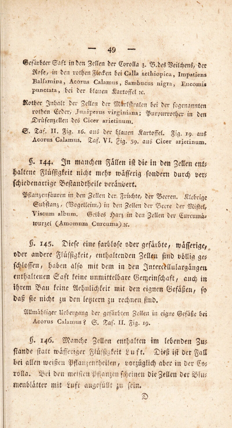 Gefärbter ®aft inten Seilen ber <£orolla 3. Q5.be« $eilcben«, ber iKofe, in ben votfcengfecfen bet Calla aethiopica, Impatiens Balfamira, Acorus Calamus, Sambucus nigra, Eucomis punctata, bet ber brauen Kartoffel jc. ^totfier gnbalt ber gellen ber COt&’fffrafen bet bet* fogenannfen rotben Geber, Juniperus virginiana; Q)urpurroftyer in bett iDrufenjellen beö Cicer arietinum, ^ n* Sty OU« bet* araucn Äörtoffel. $tg. 19. au« Acorus Calamus. £af. VI. gtg. 59* au« Cicer arietinum. 5. 144* 3n manchen gatten ift bie in be« Jeden ettU 5alfcne glüfftgfeit mein mefjr mdjferig fonbern burd) ber# fc^icbenartige Q5ef?anbtljeife beranbert. ^flanäenfauren in ben Sellen ber größte, ber Leeren, Äiebrige €atbfian$, CZsegelleim,) in ben gellen bei* «Beere ber Niftel, yiscum album. @dbe« £ftr* in ben gellen bev Gttrcumä* WUrjel (Amomiim Curcumaj>c* $♦ 145. £iefe eine farblofe ober gefärbte, mdfierige, ober anbere glufftgfcit, entl)altcnben Jeden fntb fcbdig ge# fdjloffen f paben affo mit bem in ben ^ntcrcMülargdngea entfallenen (Saft feine unmittelbare ©emeinfebaft, auci) in ibi'em Q?au feine fUepnlityteit mit ben eignen ®efa§er</ fo ba§ ffe nid)t 31t ben (extern 3a rechnen fmb. QUlmabliger Uebergang ber gefärbten gellen in eigne ©efafe bei Acorus Calamus? £af. II. gtg» 19. ®. 146. Manche Jeden enthalten tm febenben Ja# ftanbe ftaft mdffenger gfuffigfett Suff.' £>ie§ iff Der gad bei aden meinen $flan$ent(jeilen, bot3ugÜcb aber in ber €0# toda. 5ki ben meifren SPf\a'ns,cn fc^einen Die Jeden ber &fu# menbldtter mit Saft angefüttt j« fein.