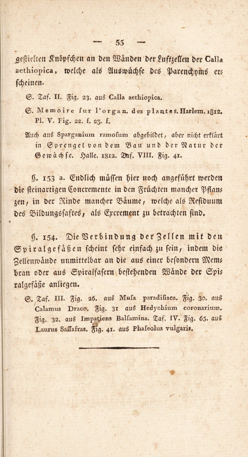 ) — 55 — mt I ^eftiefien 5?nöpfchen an t>en $Bdnbett ber ?uft$eCfett bet* Calla, aethiopica, melche al£ 2Ju$tpächfe De£ $arertc|hm£ cm fch einen. ©♦ &Ctf. II. $tg. 23. att§ Calla aetliiopica. Memoire für 1’organ. des p 1 ant«S.Harlem. igl2, PI. Y. Fig, 22. f. 23. f. Stucfj au$ Sparganium ramofum aBgefctlbet, afcer m'cfjt erflarfc in (pprenget ton bem 55 a u urtb ber^atuv bcr @eipacf)fe. $aUe. 18x2» $&f. VIII. gtg. 41* F - ’ S* i53 a- ^nblidj muffen $'m noch angeführt merbett bte fleinartlgen (Eoncremente in bcn gruchten mancher tyfiaw, genf in bet* Svinbe mancher Raunte/ welche alß SSefibuunt $e$ 55ttbung6fafte£; als (E>*crement 511 betrachten ftnb* I * g» 154. £>te SSerbinbung ber3eüen mit bett ©piralgefdgen fcheint fegt* einfach $u fein, inbern bte geltenmdnbe immittelbar an bie au£ einer befenbern $flcm brau ober anß «Spiralfafern beffebenben £Banbe ber <3fv ralgefdge anliegen* [ . * 1 £af. III. gtg. 26. ÖU§ Mufa paradifiaca. gt<j. 30. <m£ Calamus Draco. gig. 31 au§ Hedychium coronarium* ${<v 32, aul Impat^ens Balfamina. £af. IV. ftg. 65» GU$' Laurus SaHafras. 41. atl£ Phafeolus vulgaris» 1