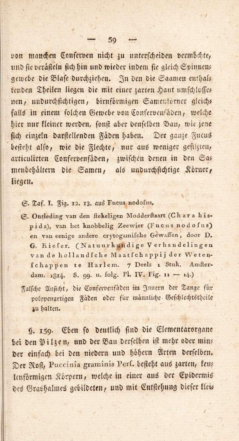 > / oon manchen £öttfert>en nid>t $u tmfcrfc^eibett t>ermbd)te, tmb fic t>era(leln ftd)ljin unb n>iebcr in Dem fie gleich Spinnern \ getpebe Die $5lafe Durd)$iel)cm 3« Den Die ©aamett enthalt fenDcn Sieden liegen Die mit einer garten ipaut umfcbloffe* neu; unburd)fid)tigen, bimförmigen @anicnforner glcid)* fall$ in .einem folgen (Berncbe Don SonfemavaDea^ meld)e t)ier nur Heiner toerben, fonji aber Denfelben S)au, von jene fid> einzeln DaefMenben gaben fjabem Ser gan$e §ucu$ befreit alfo / mie Die gledjte, mu* au$ weniger gefüljtetty avticuürten SonferbenfaDeUf $wifd)cn Denen in Den @a* inenbefjaltern Die (Samen ^ als unburc&ftc&tige Corner ? liegen* £af, h $tg, 12, 13, au$ Fucus nodofus, Ontleding van den Heimeligen Modderftaart (Ohara his- pida), van liet knobbelig Zeewier (Fucus nodofus) en van eenige andere crytogarciifche Gewaffen 3 door D. G- Kiefer, (Natuurkundige V erhandelingen van de hollandfche Maatfchappij der Weten- fchappen te Harlem. 7 Deels 1 Stuk. Amfter« dam. aßi4. S. 99. u. folg. PL IV. Fig. 11 — 14.) I ' I ' . 1 ||affc^e 2lnftd)t, Die gonferoenfaben iin Ämtern Der Sange für pofypengrttgen gaben ober für männliche-©efc^led;t^tl)ei(e 31t galten. Ö. 159- 0ben fo Deutlid) fmb Die (Elementarorgane bei Den ^iljen, unD Der ®au Derfclben iff mef)r ober mim Der einfad) bei Den nieDern unD bofjcrn Wirten berfelbem Ser SJofi/ Puccinia graminis PerL befielt aug garten, fm Unförmigen forpern, welche tu einer au$ Der (EpiDcrmio Dd ©ra^alme$ gebilbefen; unD mit Dicfer Hei*
