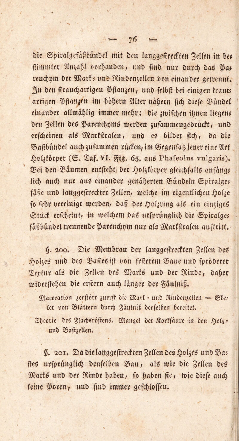 bte ©pirafgefd§Bünbel mit ben fanggejfrecFfett gellen ttt Be; flimmtec oorl;anben, t:nb finb nur burd) bag 3)a; vend)pm t>cr Sftarf ■; unb Siinben^elten oen einanber getrennt«. 3« ben (trauchartigen $jtan$-ett/ unb fel&ft Bei einigen traut; artigen $pflanj*n im BBf>etn 2llter nähern ftcf) biefe Zimbel einander atlmdf)tig immer me^r; bie ^mifcBen ifjnen liegen; ben gellen be£ ^arencbomö rnerben $ufammengebrücff/ unb erfcfyeinen M SDiarfjfralen, unb e$ Bitbet ftc^, ba bie 33aftBünbel aticb jufammen rücfen/ im ©egenfaß jener eine 5lrt ^Oljforper (©♦ Saf*VI. gig«. 65♦ öUß Phafeolus vulgaris). $5ei ben Daumen entfielt ber J£>ot$förper gteid)fattß anfdng; tief) and) nur auß einanber gendtjerten 23ünbcfn ©piratge; faße unb (anggejlredter 3eiten/ meiere im eigentlichen J£>ol$e fo fe$r bereinigt werben^ ba§ ber <£>ol$ring at$ ein einjige$ ©tücf erfcBeint/ in metdjem ba£ urfprünglich bie ©piralge; fdgBunbel trennende $arenc&pm nur atß SKarfftralen auftritk' 5. 2oo» Sie SRemBran ber tanggeftreeften 3eilen be£ $2oljefi! unb be$ 95a(te$iff t>on fefterem 23aue unb fproberer Seytur M bie Seiten be$ 0Q?arf$ unb ber Dvtnbe/ ba^er miberjiefjen bie erftern auch tanger ber gdulni(5* sOtaceration aerftort suerfi bte SD?avt - unb SRinbenjellen — @fe- .* • let txm flattern burct> gdu£ni§ berfelBen Bereitet Sporte beS g£ad)lr6ften$. Mangel ber $orffaure in ben jpotj s unb Q5afBaeUen& 5* 2or* Sa biefonggeftreeften Setten beäJpoIjeel unb Q3a; ftti urfprunglich benfetBcn 23au, all? wie bie Sitten be£ Stfattö unb ber 0linbe haben* fo tj^Ben ftc / wie biefe auch feine f unb jtab immer gefc&loffau