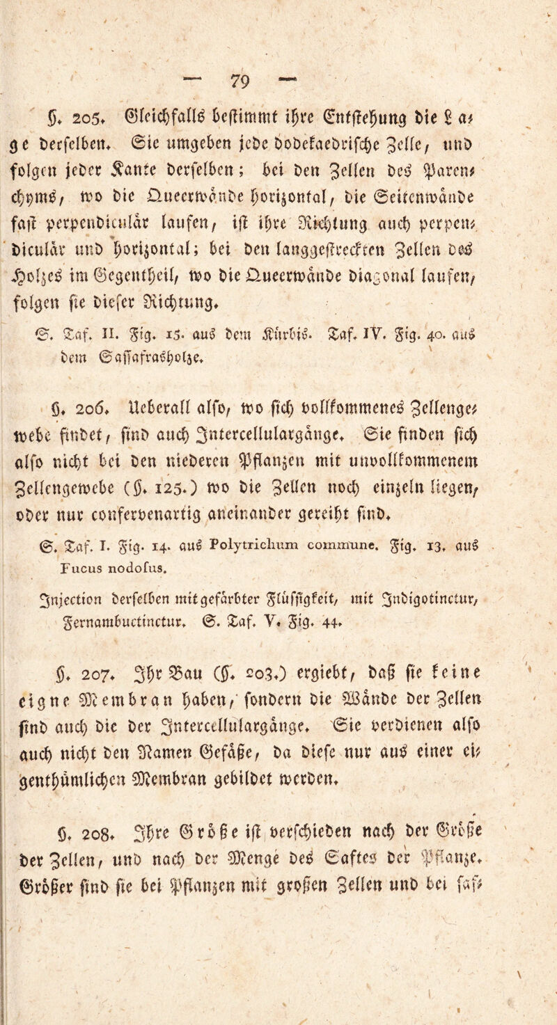 V — 79 ~ S* 205» ®letchfalll benimmt i^re ©ntftefjung Me £ a* ge berfclbetn ©ie umgeben jcbe bobefaebrifche 3dfc/ uub folgen jeDer $ante berfelben; bei Den tylltn Del ^areti# ch^ntl/ mo Die Dmeermdnbe horizontal/ Die ©eitenmdnbe fatl perpenbiculdr laufen/ ift ihre 3ikl)lung auef) perpett* biculdr unD horizontal; bei beit langgeflrecften Seilen De^ £olzcl im ®egentljeil/ mo bie £lueertvdnbe Diagonal laufen/ folgen fte biefer ^Richtung» <£. Xaf. II. gig. 15. aul bem Äurbil* &af. IV. $tg. 4°* aal bem ©affafralbolae* ö* 206* Ueberafl alfo/ tvo fiel) oollfommenel gellenge* tnebc pnbet / fmb auch ^ntercellulargauge* ©ie ftnben fic^ alfo niebt bet Den nicbemt Pflanzen mit unoollfommcnem Sellengemcbe (Jn 125*) mo Die gellen noch einzeln liegen/ ober nur couferbenartig aneinanber gereiht fmb* <§, £af, T. gtg. 14. öUl Polytriclium commxine. $tg. 13, au§ Fucus nodofus. ^njeetton berfetben mtt gefärbter $tuff!gfett, mit ^ubigotirtctur, Sernarabuctmctur* ©. £af, V« Sig. 44» $♦ 207* 3$t35au (JT* 203,) ergiebt/ ba§ fte feine eigne Membran haben/' fonbertt Die SCßdnbe bec 3eilen fmb auch Die Der Sntercellulargdnge* ©ie oeebienen alfo auch nicht Den tarnen ©efd§e/ ba biefe nur aul einer ei* genthömlichen Membran gebilbet merben* 0 §t 208* 3h^ ®ro§e ijl oerfchieben nach Der ®rb§e Der Sellen/ unD nach Der Stenge Del ©afteo bet* fffanze* (großer fmb fte bei Spangen mit großen %tlUn unb bei faf* / » ’ '■ ... • . ' : -‘xL I