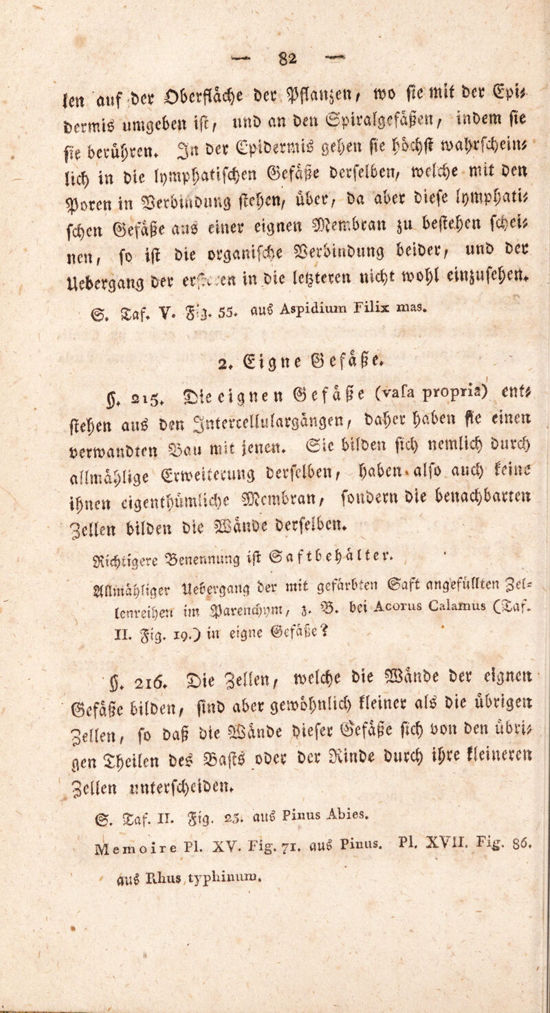 Jen auf ber Oberfläche Der SPflanje« > mo fte mit ber €pU bermk umgeben ifl, tinb an ben ©piralgefäfen, inbem fie pr berühren. 3« ber Cptberrais gehen fie bbd)(i mai>rfcheim lief) in bie ft)!iipf)atifcf;en ©efape berfelben, welche mit ben ißoren in ISecbtnbuug flehen, übet*/ bet aoet bit|e Itjwphatlf fepen ©efdjje aus einer eignen CDlembtan ju begehen f«;cis nen, fo ifl bie organifepe SSerbinbung beibet/ unb bet Uebergang ber etfreren in bie (enteren nicht wohl einjufehen. Saf. V. g:I- SS. auf Aspidium Filix mas. 2. € i g n e © e fa § e. i 0. 2ig. Sie eignen ©efäfre (vafa propris) ent* flehen auS ben gnfercellulargängen, baper haben fie einen tserwmtbten 5öa» mit jenen. Sie bifben fiel) neralich bttref) aiimählige Srweifeeung berfelben, haben, alfo auch Mne ihnen eigentümliche SBlcmbran, fonbern bie benachbarten Bellen bilben bie SBanbe berfelben. gültigere Benennung ifl @ « f t6 e f) ä 11 e t*. aai»4hf'3«r tle&evgang bei* mit gefärbten ©aft ungefüllten 3«(= Unreihen im »arembom, }. «. bei Acorus Calamus CS«f. II. gig. xq.) in eigne @efäf;e? S. 2iö. Sie Bellen, welche bie SEBattbe ber eignen ©efafe bilben / finb aber gewöhnlich fleincr als bie übrigen Bellen, fo ba§ bie ffiünbe biefer ©efafe ftep non ben übriü gen Steilen bes S5a(lS ober ber Siinbe butch ihee fleiueten Bellen unferfcheiben. ©, SSaf. II. gig. 25. an« Pinus Abies. Memoire PI. XV. big. 71. auf Pinus. PI, X\ II. Fig. S5» auf PJius. typlünuiu. /