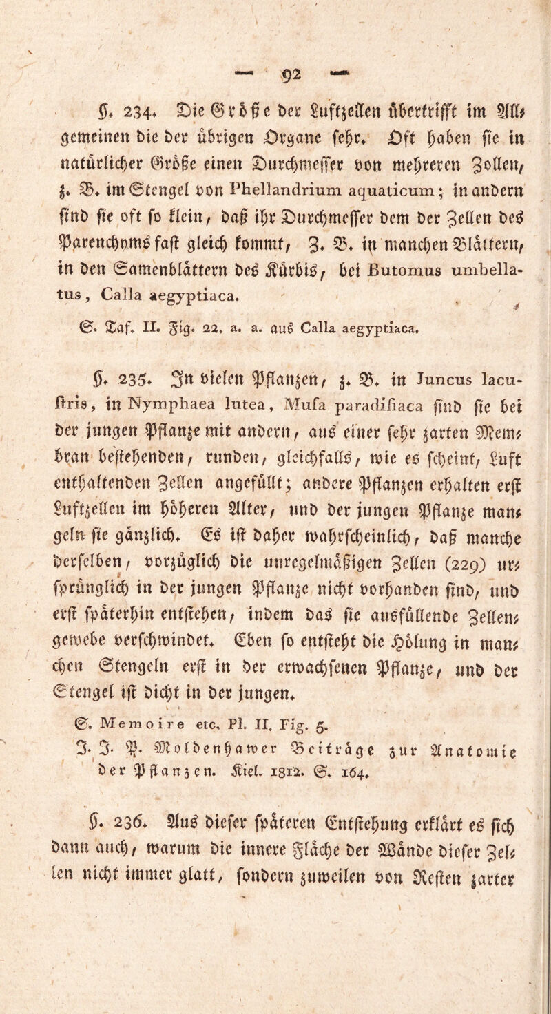 / 234* £>ie ©rJffe t>er Suftgeäen fiBetrfttfft im 2(lh gemeinen tue bet* übrigen Örgani fefjt\ £)ft haben fte in natürlicher (%b§e einen ©urchmejfer bon mehreren Sollen, g* 25«. im Stengel bölt Phellandrium aquaticum; tnanbew ft'nb fi'e oft fo Hein, baf? ihr ©urchmcfifer bem bcr Sehen bei sparenchpmlfafi gleich fommt, 3* %>* ift manchen flattern/ in beit Samenblattern bei Äürbil, bei Butomus umbella- tus, Calla aegyptiaca. S &af. II. §tg. 22. a. a. auS Calla aegyptiaca. 0* 235» 3n Dielen fangen, g« 23« in Juncus lacu- firis, in Nymphaea lutea, Mufa paradifiaca ft'nb fte bei ber jungen $Pfiangrmit anbern, aul einer feßr garten ®em* bran beffehenbcn, runben, gleichfalls, nrie es fcheint, £uft enthaltenben 3ellen angefultt; anbere fangen erhalten er|f Suftgetten im höheren Sitter, tmb ber jungen $flange man* geht fte gänglich* €1 ift baher mahrfcheintich, bag manche berfclben, borguglich bie unregelmäßigen 3ellen (229) m fprünglich in ber jungen SPftange nicht borhanbcn ftnb, unb erfi fpdterhin entgehen, inbem bal fte auifuKenbe Sellen* gemebe berfchwinbet« (Eben fo entjleht bie Polung in man* ct)en Stengeln erji in ber crtnachfcnen $flange, unb ber Stengel tfi bicht in ber jungem v « S» Memoire etc, PL II, Fig. 5. 3- 3- $totbenf)att>er beitrage Jur Olnatomie ber jt a tt j e n. Stet. 1812. &. 164. §. 236. Slug biefer fpätcrett €nfftdjuttg erfldrt eg fiel) bgtttt and), warum bie innere gldtfje ber üßdnbc biefer 3el<