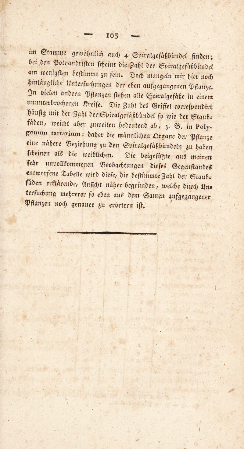 mt Stamme qew^nücb auch 4 ©piratgefaßbunbet ftnben; Im ben $otpanbrifren fd)änt bie 3at)l ber ©pmtfgefahbunbeC am wenden beffr'mmt 3« fein. ©och mangefn mir hier noch ^mrati^tc^e Unterfuchtmgen ber eben aufgegangenen ^ganae* 3n fielen anbern BfTansen freien alle ©pirafgefafje in einem isnunterbioefjenen Greife* Oie be£ (Griffet correfponbtrt ^auftg mit ber £ah( ber ©piratgefaibunbet fo wie ber ©taub^ faben, tretet aber juweifen bebeutenb ab, 3. «5, in Poly- gonum tartarmm; baher bte mannltcf;en Organe ber qjffonae eine nähere Beatehung 3« ben ©pirafgefäfbunbetn 3« haben febemen at§ bte weibfic&en, Oie beigefi^te aug meinen febr unroKfommenen Beobachtungen btefeS ©egcntfanbeS entworfene ©abelfc wirb biefe, bte heftimmteSafyl ber ©taub* faben erftärenbe, 2lnfid)t naher begrunben, welche burcf; Um* terfuebung mehrerer fo eben aus bem ©amen aufgegangener ^Pflanaen noch genauer 3U erörtern ifft (