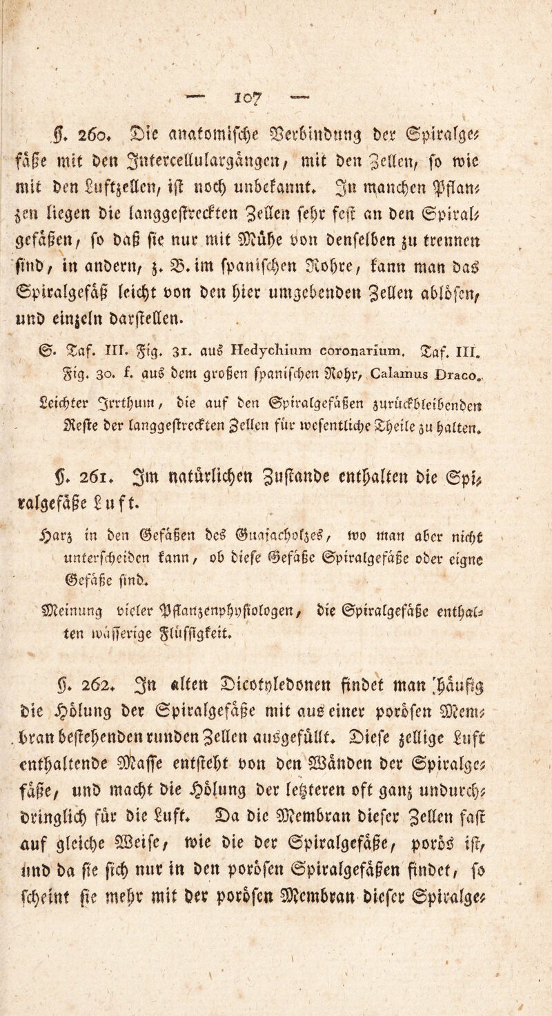 t s X t * — 107 — 3* 26o, Sie anatomifdje SSerSiitbun^ Der ©piralge* fafe mit Den 3titttcettulargangen/ mit Den gellen/ fo me mit Den Suffjettcit/ ift nocl) unbekannt* Sn manchen ^cn liegen Die langgefTtccFten gellen fe$r feji an Den (Spiral* gefdgen/ fo Da§ fie nur mit 33?ul>e t>on Denfelben $u trennen fmD/ in anDent/ $♦ 35* im fpanlfcf)en Siobre, fann man Das» ©piralgefdf leicht oon Den jjter umgebenDen gellen Mbfcnr unD einzeln DarjMen. $af. in. 5*3* 31. au§ Hedycliium coronarium, £af. III. §?g. 30. f. au6 Dem großen fpanifc^en Calamus Draco„. 2eid)tev 3rrtbum, bte auf ben ©ptralgefafjen surucf6letbenben iKefre Der tanggeßreeften gellen für wefentti^e Steile ja galten. $. 261. 3m natürlichen Sufan&e enthalten fcie 6p i* raigefage Suff. -j- iparj tn Den ©efafjen bc3 ®uaia($ofse$, mo man aber nid)t untevfcfyetben fann, ob biefe 0efa§c ©piralgefäße ober eigne ©efaße ftnbu Meinung vielev tyflati&enpljvfiotogen / Oie ©piralgefafie eniljaU ten wajferige glüfftgfeit* §* 262* 3n alten DicotoleDonen ftnDet man ^dufig Die Polung Der ©piralgefade mit au$ einer porbfen Sföent* . fcranbefieljenbenrunDmgellett auögefftttf* £>iefe ^eilige Sufc entfjaltenDe 0Äajfe entließt ooit Dm SdttDen Der ©piralgc* fade/ unD rnac&t Die Polung Der legieren oft gan$ unDurd)* Dringlich für Die £uft* !Da Die 2Diembran Diefer gellen faft auf gleiche SCBeifc/ mie Die Der ©piralgefdde/ porb$ ift/ imD Da fte ftd) mir in Den porbfen ©piralgefdgen ftnDet, fo fc^eint fte mefjr mit Der porbfen Membran Diefer ©piralge*