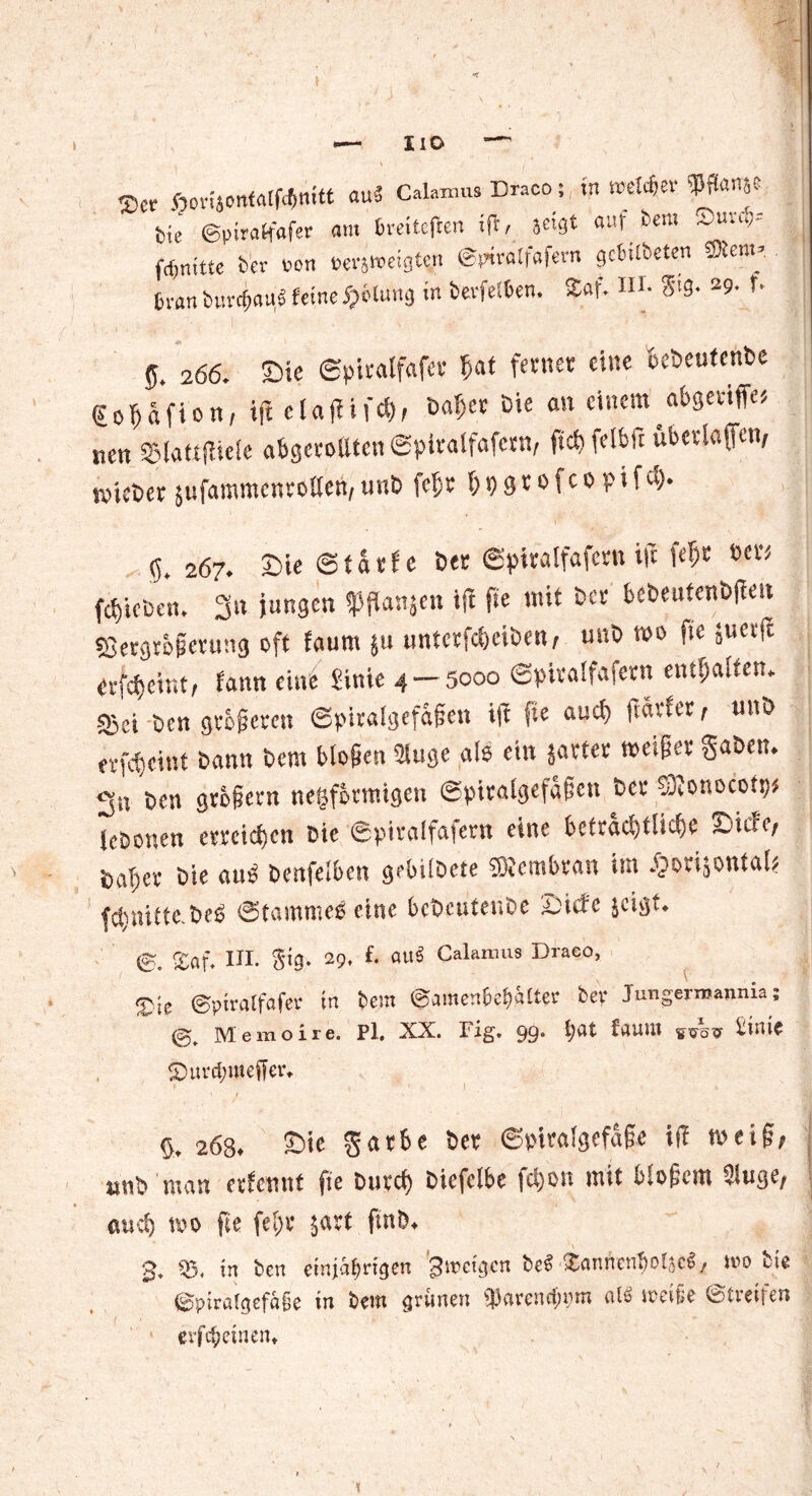 Ser SorisemfaMmtt au! Calamus Draco; in »ctfer 9W«i* tie ©piraHof« am Sreiteften «(1/ «»f ö<m ~ü-u,: j fdjnitte feer ton »eräugten ©piralfafern gefeitbeten Stenn trau burcfeaul leine Rötung in feerfeiten. 2af. HI. ?tg. 29- f. 5. 266. SMe ©piralfafer b« ferner eine bcbcutenbe €o^äfion, tft ctaflifcf), ba$er öle an einem abgeviffe# nen «ßlattfliele abgerotlten ©piralfafern, ftcb felbft überlaßen, Nieter jufammcnrollen, unb fc5r f; t> gr 0 fc 0 p i f <-b 55, 267. £>ie ©tatfe 6 er ©piralfafcrn ift {fyt »er* fctjicDcn. 3« jungen fftanjeu ift ftc mit 6er bebeufenbfieu ffiergrögerung oft faum ju untcrfd)ciöen, unö mo fie }uet|i erföeint, faitn eine Sinie 4 — 5000 Sptralfafern enthalten» 55ci 6cn größeren ©ptralgefagen ift fte and) ftürfer, unö erfdicint bann 6em biogen 3iuge ale ein jarter meiger gaben. 3« ben grogern neiifortnigen ©piralgefagctt ber SDeonocot?* lebonen erreichen bie ©piralfafern eine beträchtliche Siebe, bal)er bie aug benfelben gebilöete Membran im .fjorijontal? fctinitte.beb Stammeg eine bcbcutenbe ixide jeigt. €. Saf. III. gig. 29. f- au* Calamus Draeo, ®ic ©piralfafer in feem ©amenfeefegtter ber Jungerroannra; Memoire. Pl, XX. Fig. 99* bat lauut sc.3 büüe 5)urd;meffer» §. 268. Sie garbe ber ©ptralgefage itT nmg, unb man erfennt fie burcf) biefclbe fei)on mit blogcm 2iuge, auch i»o fie fetir $«rt fmb. 3. «8. in feen einjährigen Zweigen bei Sannenfeol{c«, m feie ©piratgefaie in feeut grünen giatcncfepm als ‘reife ©.reifen evföeinetu