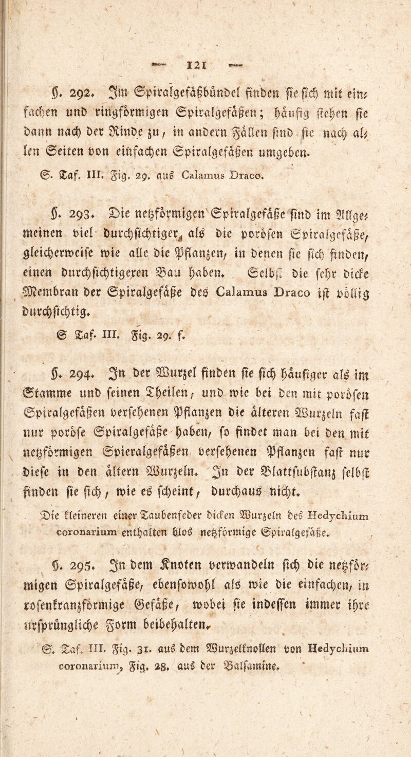 0* 2Q2, ©pitafgefäfftfinbel fäiben fie jtd) mit ein* ’ facften unb ringförmigen 6piralgefd§en; häufig fk|en fte bann nad) bet SÄinbe $u, in anbent galten fmb fie nad) al* len ©eiten Pon cifofad)en ©piralgef&gen timgeben. ©. £af. III. $ig, 2p, at?£ Calamus Draco, 5* 293. £ie nefsformtgen (Sptralgefagc fmb int 2i(lge* meinen Oie! butd)fiebrige^ alb bie porofen ©:piraigefdgeA gleicBermeife tote alle bie ^pan^en, in betten fte ftd) ftnbc.ti/ einen Durd>fid)tigeren 53au l)abeiu . ©clbf. bie fe0r btefe Membran bet ©piralgefdße beb Calamus Draco i|t oBKig butcBftd)fig* ® £af- III. $ig, 29. f. II f ; • ' 0* 294* 3« bet £Bur$el ftnben fte ftd) Ijduftger alß int ©tamroe unb feinen £fjeilenf unb mic Bei ben mir porofen ©piralgefd§en oerfeljenen ?3f!an^en bie alteren 3But$eltt fafl nur porofe ©piralgefdge 0aBen/ fo ftnbet man Bei Den mit negforntigen ©pteralgefdfen oerfebenen $flan$cn faff nur biefe in ben altern 5Buqefm 3° ^t ©lattfuBffanj felBfl ftnben fte f?d> f tote es fd)eint, Durchaus nic0c cA)ic Heineren einer £au6enfebcr tiefen Surjctn be£ Hedycliium coronaiium enthalten 6lc3 netzförmige ©piralgefa§e. S* 295* 3«Änofen ocrmanbeln ftd) bie ne$for* tnigen ©piralgefdfte, eBenfoioofd als me bie einfachen/ tu tofenfran^formige ®efa§e; moBei fte inbeffen immer ijjte utfprungficBe gorm BeiBefjalten* S. Xaf. III. fig. 31. au£ Bern Sur^etCnoflen Port HedycHum coronaiium, $ig» 2g, au6 bet 53alfawme,