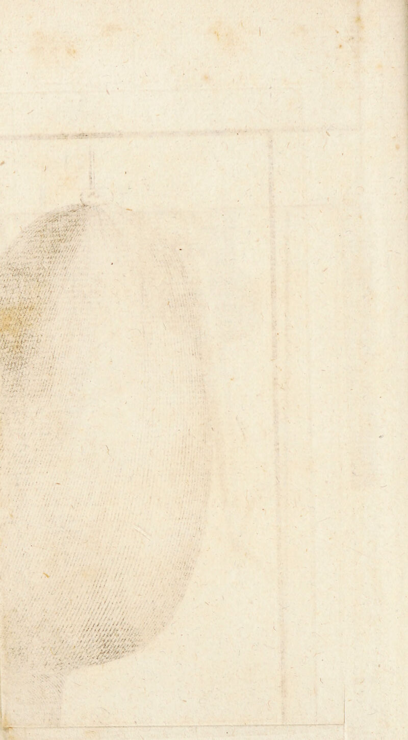 vsy • i., *'4r /”7^ • . v v • >.. • t .'\ *y .r '/• rt vv>' ’ ■rv > •* ' • 1 •- 7v *\' ■ ' rf ■■/■ irvA. , .•VV4// '•* ; , ’ •••■'• • • -v *•'/> 'V.v .XV-. Y ■ Y'-,:/ •:•• >: ■ • •■•; • Wv-Af-’' ■ . ■* ' «*, •A». V:~' ■ r • <fAi ,»‘/'7 ■ . ' ' . ■ ; , ■■ ... •,.// •../'•.. . 11hHr ■' ' V •' .*/ A»*'A' ■ • ■ ■ ' k: '