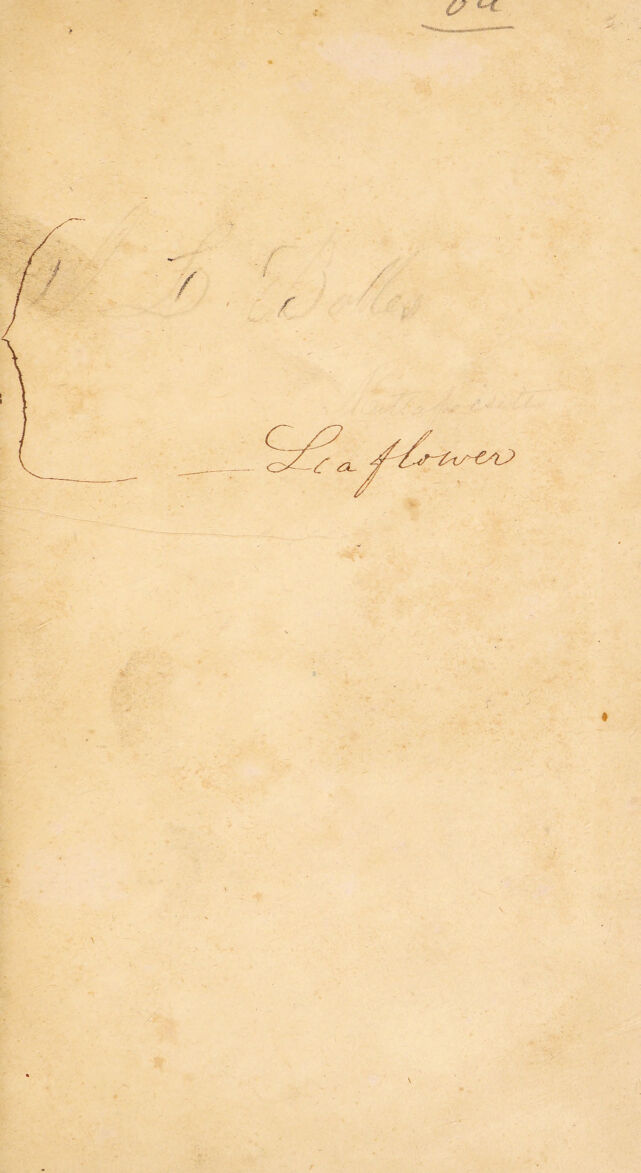 digitised image 3