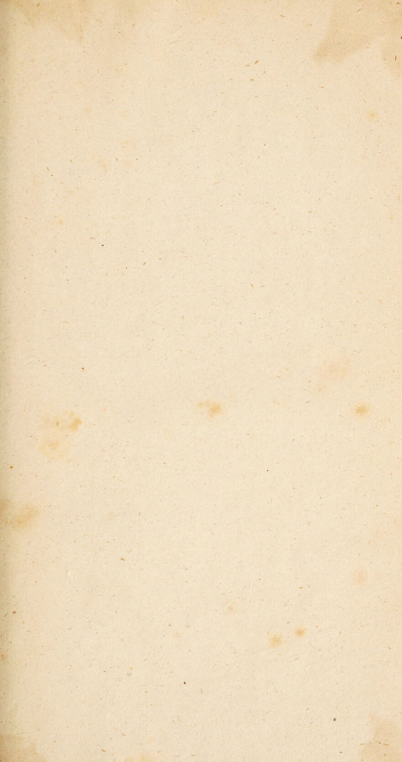 ■.·, - / ✓ r* 4 - I f \ l c ^ \ f r