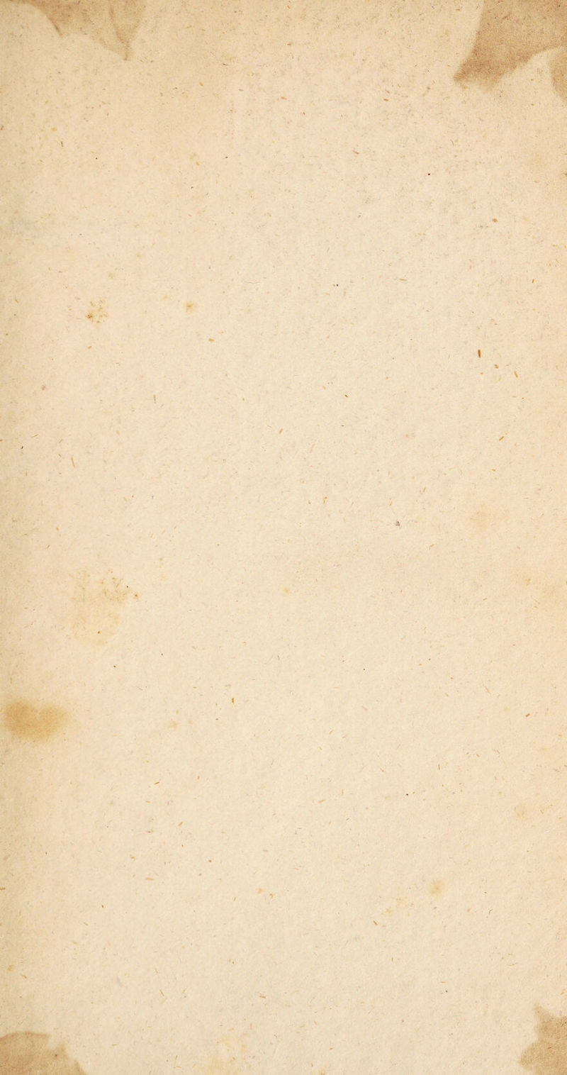 ί > % V ' / \ / a ί \