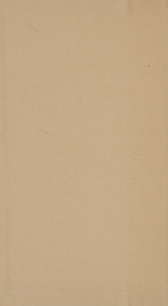 digitised image 2