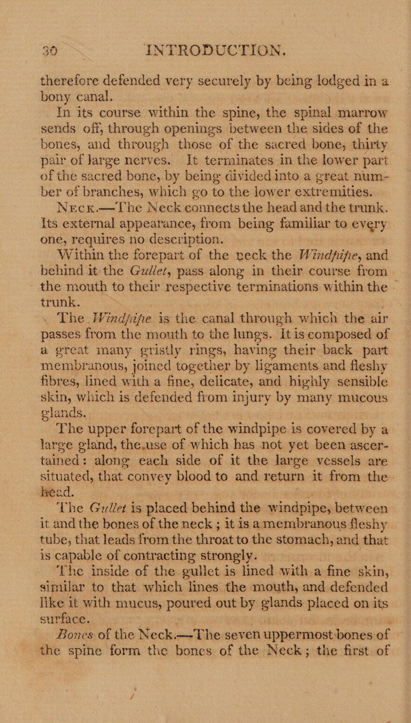 therefore defended very securely by being vai a Ina bony canal. In its course within the spine, the spinal marrow sends off, through openings between the sides of the bones, and through those of the sacred bone, thirty pair of large nerves. It terminates in the lower part of the sacred bone, by being divided into a great num- ber of branches, which go to the lower amarante: Necx.—The Neck connects the head and the trunk. {ts external appearance, from being familiar to evqry one, requires no description. Within the forepart of the peck the Windpipe, and behind it the Guillet, pass along in their course from the mouth to their respective terminations within the trunk. . The. Windpipe is the canal thr a which the air passes from the mouth to the lungs. It is composed of a great many gristly rings, having their back part membranous, joined together by ligaments and fleshy fibres, lined with a fine, delicate, and highly sensible skin, which is defended from injury by many mucous glands. The upper forepart of the windpipe i is covered by a large gland, the.use of which has not yet been ascer- tained : along each side of it the large vessels are situated, that convey blood to and return it from the. head. The Grllet is placed behind the windpipe, between it and the bones of the neck ; it is a membranous fleshy tube, that leads from the nad to the stomach, and that is capable of contracting strongly. he inside of the gullet is lined with a fine skin, similar to that which lines the mouth, and defended like it with mucus, Sei ed out a glands ‘placed on its surface. Bones of the Neck i he seven uppermost: bones of the spine form the bones of the Neck; the first of
