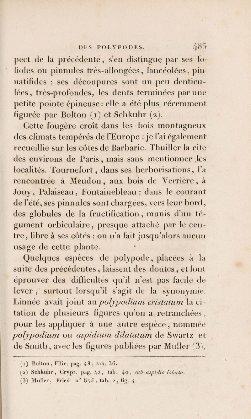 pect (le la précédente, s’eii distingue par ses fo¬ lioles ou pinnules très-allongées, lancéolées, pin- natifides : ses découpures sont un peu denticu- lées, très-profondes, les dents terminées par une petite pointe épineuse: elle a été plus récemment figurée par Bolton (i) et Schkuhr (2). Cette fougère croît dans les - bois montagneux des climats tempérés de l’Europe : je l’ai également recueillie sur les côtes de Barbarie. Thuiller la cite des environs de Paris, mais sans mentionner les localités. Tournefort, dans ses herborisations, l’a rencontrée à Meudon, aux bois de Verrière, à Jouy, Palaiseau, Fontainebleau: dans le courant de l’été, ses pinnules sont chargées, vers leur bord, des globules de la fructification, munis d’un té¬ gument orbiculaire, presque attaché par le cen¬ tre, libre à ses côtés : on ri’a fait jusqu’alors aucun usage de cette plante. Quelques espèces de polypode, |Ylacées à la suite des précédentes, laissent des doutes, et font éprouver des difficultés qu’il n’est pas facile de lever , surtout lorsqu’il s’agit de la synonymie. Linnée avait joint au poljpodium cristatiim la ci ¬ tation de plusieurs ligures c[u’on a retranchées, pour les appliquer à une autre espèce, nommée poljpodium ou aspidium dilatatum de Swartz et de Smith, avec les figures publiées par Muller (1) Bolton, Filic. pag. 48, tab. 36. (2) Schkubr , Crypt. pag. 42, tab. 40 ? aspidio lobciLo. (3) Muller, Fried n tidj. 2, lig. 4-