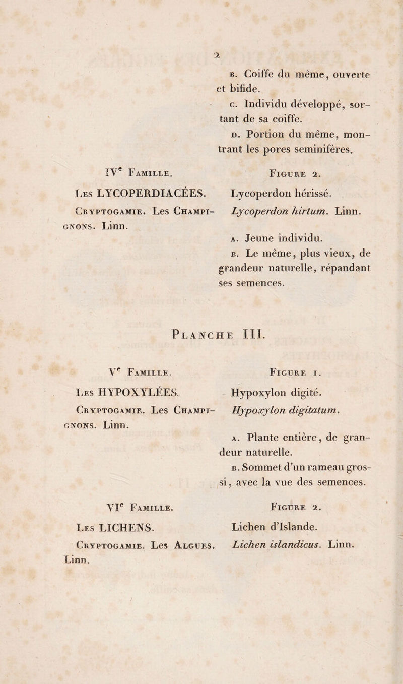 ‘2 B. Coiffe du même, ouverte et bifide. c. Individu développé, sor¬ tant de sa coiffe. D. Portion du même, mon¬ trant les pores seminifères. ÏV* Famille. Figure 2. Les LYCOPERDIACÉES. Lycoperdon hérissé. Cryptogamie. Les Champi- Ljcoperdon hirtum. Linn. GNONS. Linn. A. Jeune individu. B. Le même, plus vieux, de grandeur naturelle, répandant ses semences. Planche 111. Famille. I.Es HYPOXYLÉES Cryptogamie. Les Champi¬ gnons. Linn. VF Famille. Les lichens. Cryptogamie. Les Algues. Linn. Figure i. Hypoxylon digité. Hjpoxylon digitatum. A. Plante entière, de gran¬ deur naturelle. B. Sommet d’un rameau gros si, avec la vue des semences. Figure 2. Lichen d’Islande. Lichen islandicus. Linn.