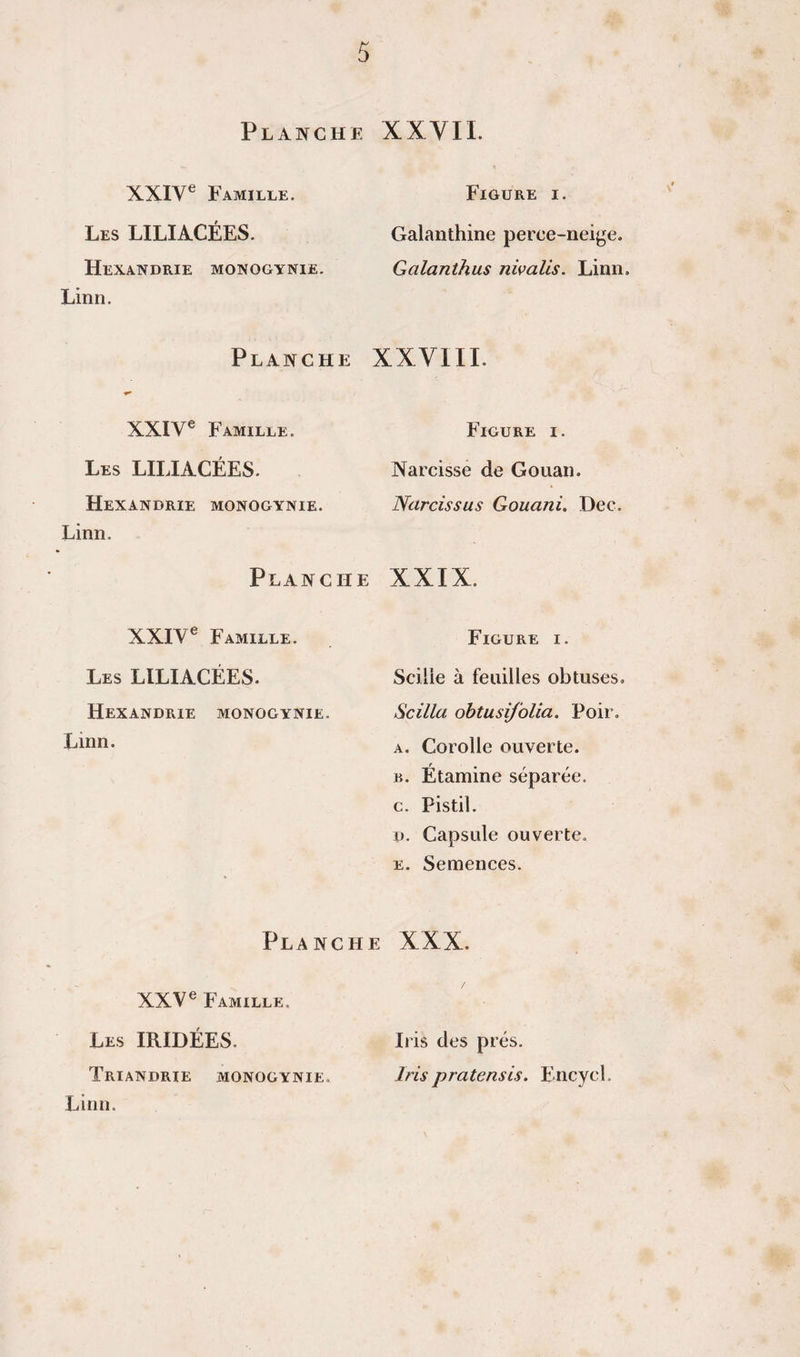 Planche XXVII. XXIV® Famille. Figure i. Les LILIACÉES. Galanthine perce-neige. Hexandrie monogynie. Linn. Galanthus nivalis. Linn. Planche XXVIII. XXIV® Famille. Figure i . Les LILIACÉES. Narcisse de Gouan. Hexandrie monogynie. Linn. Narcissus Gouani. Dec. Planche XXIX. XXIV® Famille. Figure i. Les LILIACEES. Scilie à feuilles obtuses. Hexandrie monogynie. Linn. Scilla ohtusifolia, Poir. A. Corolle ouverte. B. Étamine séparée, c. Pistil. ü. Capsule ouverte. E. Semences. Planche XXX. XXV® Famille. Les IRIDÉES. Iris des prés. Triandrie monogynie. Linn. Iris pratensis, Encycl.