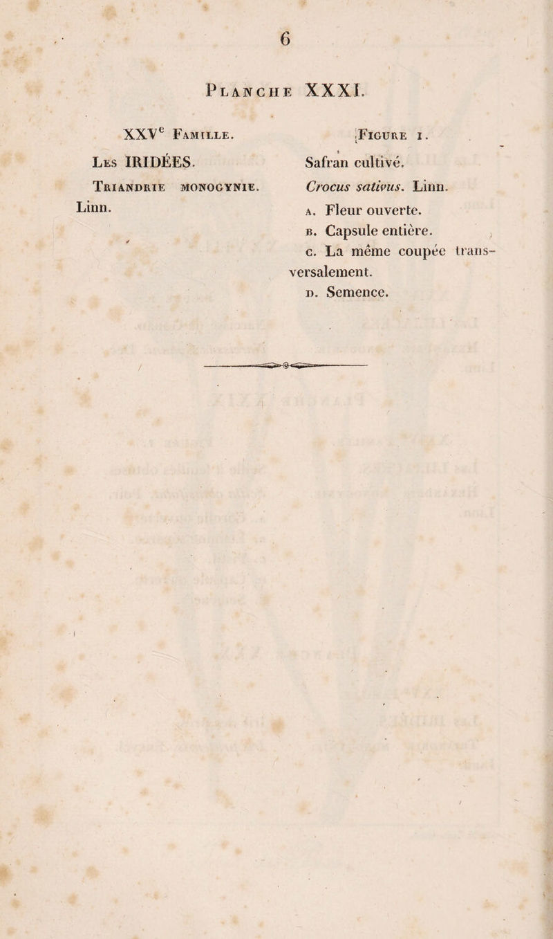PL4NCHE XXXI. XXV® Famille. Les IRIDÉES. TrIANDRIE M0N0G¥N1E. Linn. .Figure i. « Safran cultivé. Crocus sativus. Linn. A. Fleur ouverte. B. Capsule entière, c. La meme coupée versalement. I). Semence. IranS-