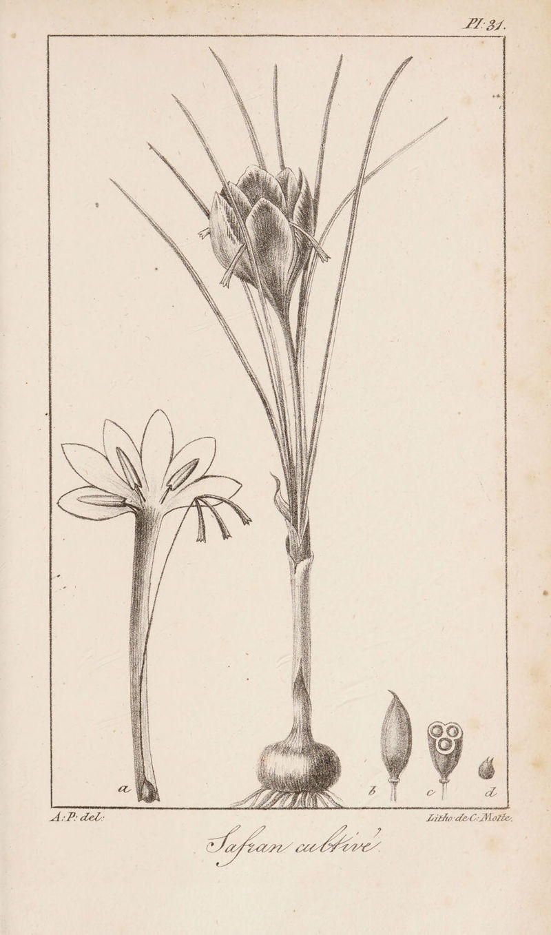 A;P.’ d^: (P iniiii luiÉW ■ Idi£/u):dC'C:3'loïîey. f.