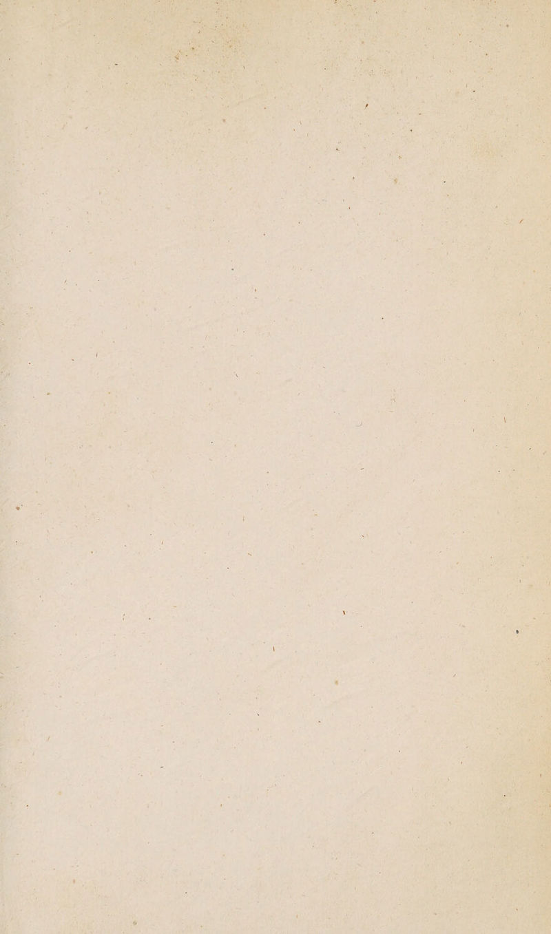 10 r .. - / \ « ) I /■ « T .• . r ' il ■ '. »