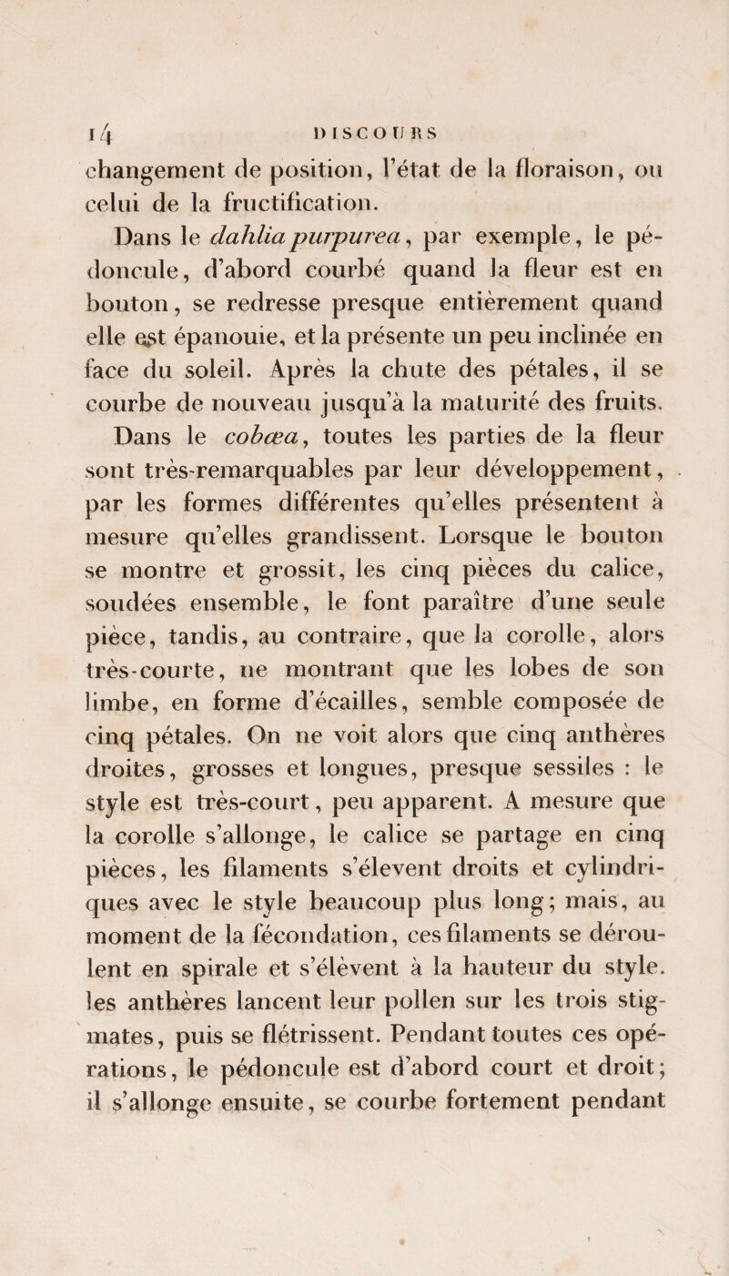 changement de position, l’état de la floraison, ou celui de la fructification. Dans le dahlia purpurea ^ par exemple, le pé¬ doncule, d’abord courbé quand la fleur est en bouton, se redresse presque entièrement quand elle est épanouie, et la présente un peu inclinée en face du soleil. Après la chute des pétales, il se courbe de nouveau jusqu’à la maturité des fruits. Dans le cobœa, toutes les parties de la fleur sont très-remarquables par leur développement, par les formes différentes qu’elles présentent à mesure qu’elles grandissent. Lorsque le bouton se montre et grossit, les cinq pièces du calice, soudées ensemble, le font paraître d’une seule pièce, tandis, au contraire, que la corolle, alors très-courte, ne montrant que les lobes de son limbe, en forme d’écailles, semble composée de cinq pétales. On ne voit alors que cinq anthères droites, grosses et longues, presque sessiles : le style est très-court, peu apparent. A mesure que la corolle s’allonge, le calice se partage en cinq pièces, les fdaments s’élèvent droits et cylindri¬ ques avec le style beaucoup plus long; mais, au moment de la fécondation , ces filaments se dérou¬ lent en spirale et s’élèvent à la hauteur du style, les anthères lancent leur pollen sur les trois stig¬ mates, puis se flétrissent. Pendant toutes ces opé¬ rations , le pédoncule est d’abord court et droit ; il s’allonge ensuite, se courbe fortement pendant