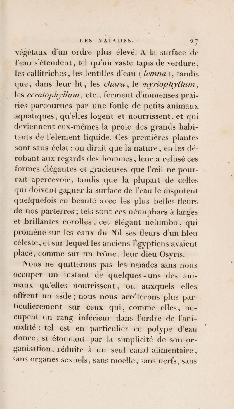 végétaux d'uii ordre plus élevé. A la surface de l’eau s’étendent, tel qu’un vaste tapis de verdure, les callitriches, les lentilles d’eau ( lemna)^ tandis que, dans leur lit, les chara ^ le rnjriophjllum ^ les ceratophfUum^ etc., forment d’immenses prai¬ ries parcourues par une foule de petits animaux aquatiques, quelles logent et nourrissent, et qui deviennent eiix-mémes la proie des grands habi¬ tants de l’élément liquide. Ces premières plantes sont sans éclat : on dirait que la nature, en les dé¬ robant aux regards des hommes, leur a refusé ces formes élégantes et gracieuses que l’œil ne pour¬ rait apercevoir, tandis que la plupart de celles (|ui doivent gagner la surface de l’eau le disputent quelquefois en beauté avec les plus belles fleurs de nos parterres ; tels sont ces nénuphars à larges et brillantes corolles, cet élégant nelumbo, qui promène sur les eaux du Nil ses fleurs d’un bleu céleste, et sur lequel les anciens Égyptiens avaient placé, comme sur un trône, leur dieu Osyris. Nous ne quitterons pas les naïades sans nous occuper un instant de quelques-uns des ani¬ maux qu’elles nourrissent, ou auxquels elles offrent un asile ; nous nous arrêterons plus par¬ ticulièrement sur ceux qui, comme elles, oc¬ cupent un rang inférieur dans l’ordre de l’ani¬ malité : tel est en particulier ce polype d’eau douce, si étonnant par la simplicité de son or¬ ganisation, réduite à un seul canal alimentaire, sans organes sexuels, sans moelle, sans nerfs, sans