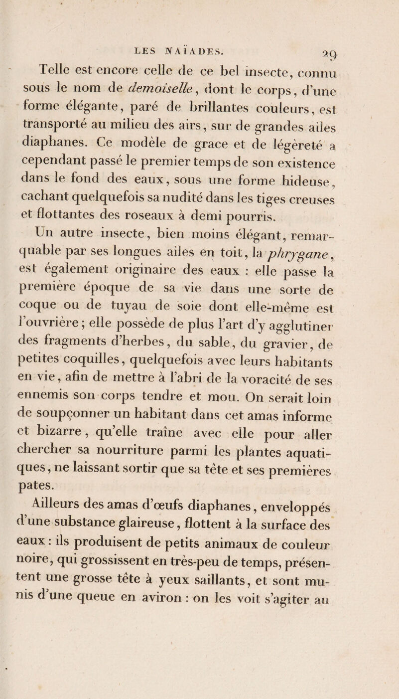 99 Telle est encore celle de ce bel insecte, connu sous le nom de demoiselle, dont le corps, d’une forme élégante, paré de brillantes couleurs, est transporté au milieu des airs, sur de grandes ailes diaphanes. Ce modèle de grâce et de légèreté a cependant passé le premier temps de son existence dans le fond des eaux, sous une forme hideuse, cachant quelquefois sa nudité dans les tiges creuses et flottantes des roseaux à demi pourris. Un autre insecte, bien moins élégant, remar¬ quable par ses longues ailes en toit, \2i plujgane, est également originaire des eaux : elle passe la première époque de sa vie dans une sorte de coque ou de tuyau de soie dont elle-même est l’ouvrière ; elle possède de plus l’art d’y agglutiner des fragments d’herbes, du sable, du gravier, de petites coquilles, quelquefois avec leurs habitants en vie, afin de mettre à l’abri de la voracité de ses ennemis son corps tendre et mou. On serait loin de soupçonner un habitant dans cet amas informe et bizarre, quelle traîne avec elle pour aller chercher sa nourriture parmi les plantes aquati¬ ques, ne laissant sortir que sa tête et ses premières pâtes. Ailleurs des amas d’oeufs diaphanes, enveloppés d une substance glaireuse, flottent à la surface des eaux : ils produisent de petits animaux de couleur noire, qui grossissent en très-peu de temps, présen¬ tent une grosse tête à yeux saillants, et sont mu¬ nis d une queue en aviron ; on les voit s’agiter au