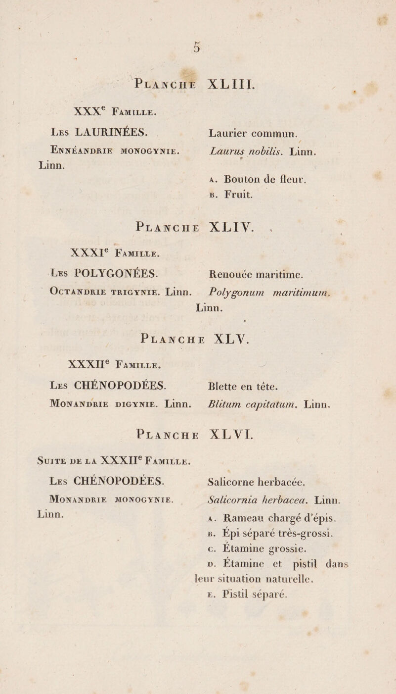 Plajvche XLIII. XXX® FAMtLLE. Les LAURINÉES. Laurier commun. Ennéandrie monogynie. Laurus nobilis. Linn. Linn. A. Bouton de fleur. B. Fruit. Planche XLIV. XXXI® Famille. Les POLYGONÉES. Renouée maritime. OcTANDRiE TRiGYNiE. Linn. Poljgonum maritimuni, Linn. a Planche XLY. . XXXII® Famille. Les CHÉNOPODÉES. Monandrie digynie. Linn. PlANCH Suite de la XXXII® Famille. Les CHÉNOPODÉES. Monandrie monogynie. Linn. Blette en tête. Blitum capitatum. Linn. E XLVI. Salicorne herbacée. Salicornia herbacea. Linn. a. Rameau chargé d’épis. B. Épi séparé très-grossi. c. Étamine grossie. D. Étamine et pistil dans leur situation naturelle. E. Pistil séparé.