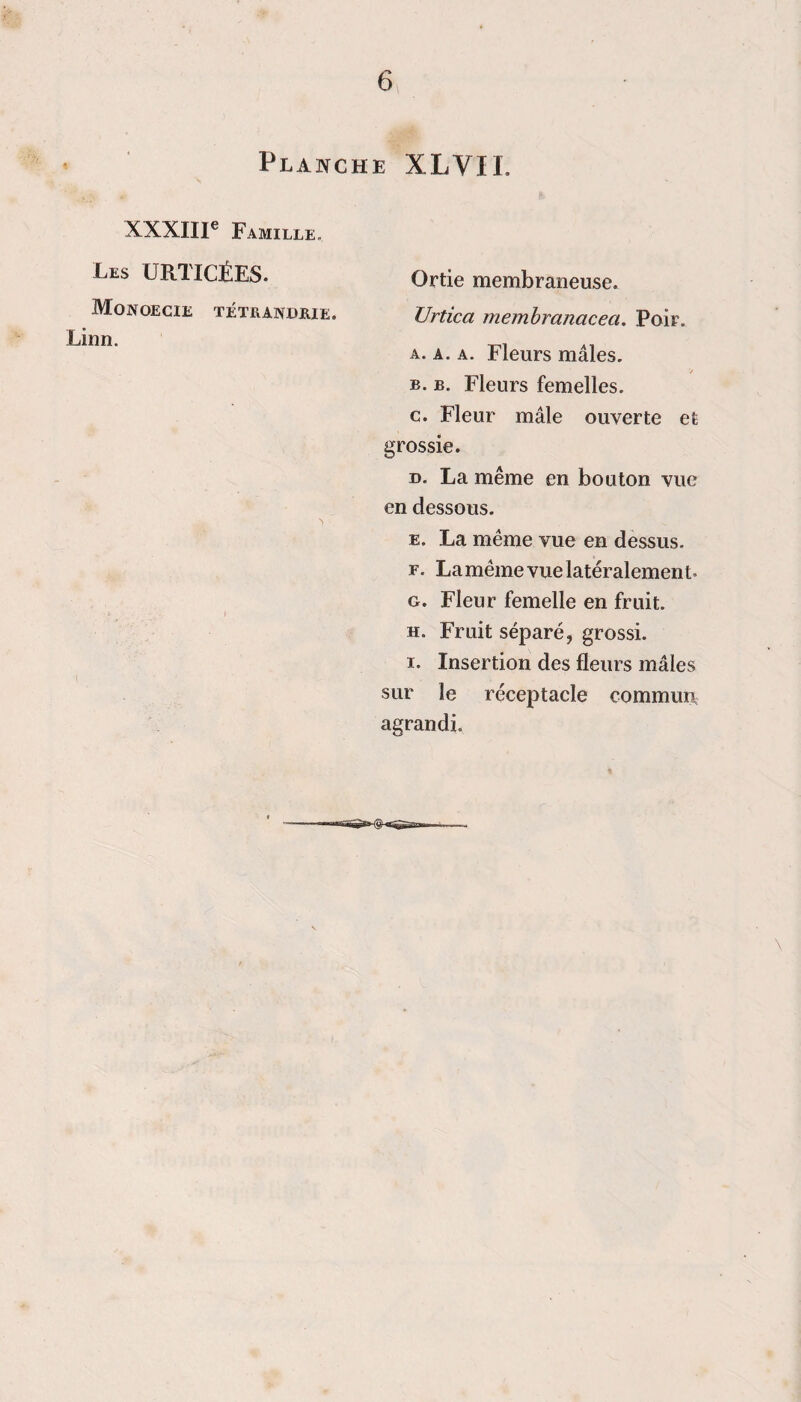 Planche XLVII. XXXIII® Famille, Les URTICÉES. MojyOECIE TÉTRANDjRIE. Linn. Ortie membraneuse. XJrtica membranacea. Poir. A. A. A. Fleurs mâles. B. B. Fleurs femelles. c. Fleur mâle ouverte et grossie. O. La même en bouton vue en dessous. E. La même vue en dessus. F. Lamême vue latéralement. G. Fleur femelle en fruit. H. Fruit séparé, grossi. I. Insertion des fleurs mâles sur le réceptacle commun^ agrandi.