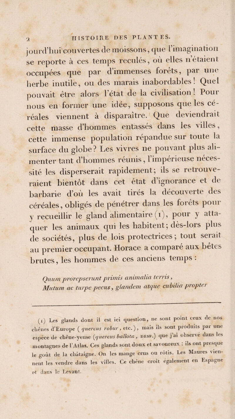 2 HISTOIRE DES PLANTES. jour cl* hui couvertes de moissons, que l’imagination se reporte à ces temps reculés, où elles n’étaient occupées que par d’immenses forêts, par une herbe inutile, ou des marais inabordables! Quel pouvait être alors 1 état de la civilisation ! Pour nous en former une idée, supposons que les cé¬ réales viennent à disparaître. Que deviendrait cette masse d’hommes entasses dans les villes, cette immense population répandue sur toute la surface du globe? Les vivres ne pouvant plus ali¬ menter tant d’hommes réunis, l’impérieuse néces¬ sité les disperserait rapidement; ils se retrouve¬ raient bientôt dans cet état d’ignorance et de barbarie d’où les avait tirés la découverte des céréales, obligés de pénétrer dans les forêts pour y recueillir le gland alimentaire (i), pour y atta¬ quer les animaux qui les habitent ; dès-lors plus de sociétés, plus de lois protectrices; tout serait au premier occupant. Horace a compare aux betes brutes, les hommes de ces anciens temps : Quum prorepserunt primis animalia terris, Mutum ac turpe pecus, glandem atque cubilia pi opta (x) Les glands dont il est ici question, ne sont point ceux de nos chênes d’Europe ( quercus robur, etc. ), mais ils sont produits par une espèce de chêne-yeuse (quercus b allô ta, desf.) que j’ai observé dans les montagnes de l’Atlas. Ces glands sont doux et savoureux : ils ont presque le goût de la châtaigne. On les mange crus ou rôtis. Les Maures vien¬ nent les vendre dans les villes. Ce chêne croît également en Espagne et dans le Levant.