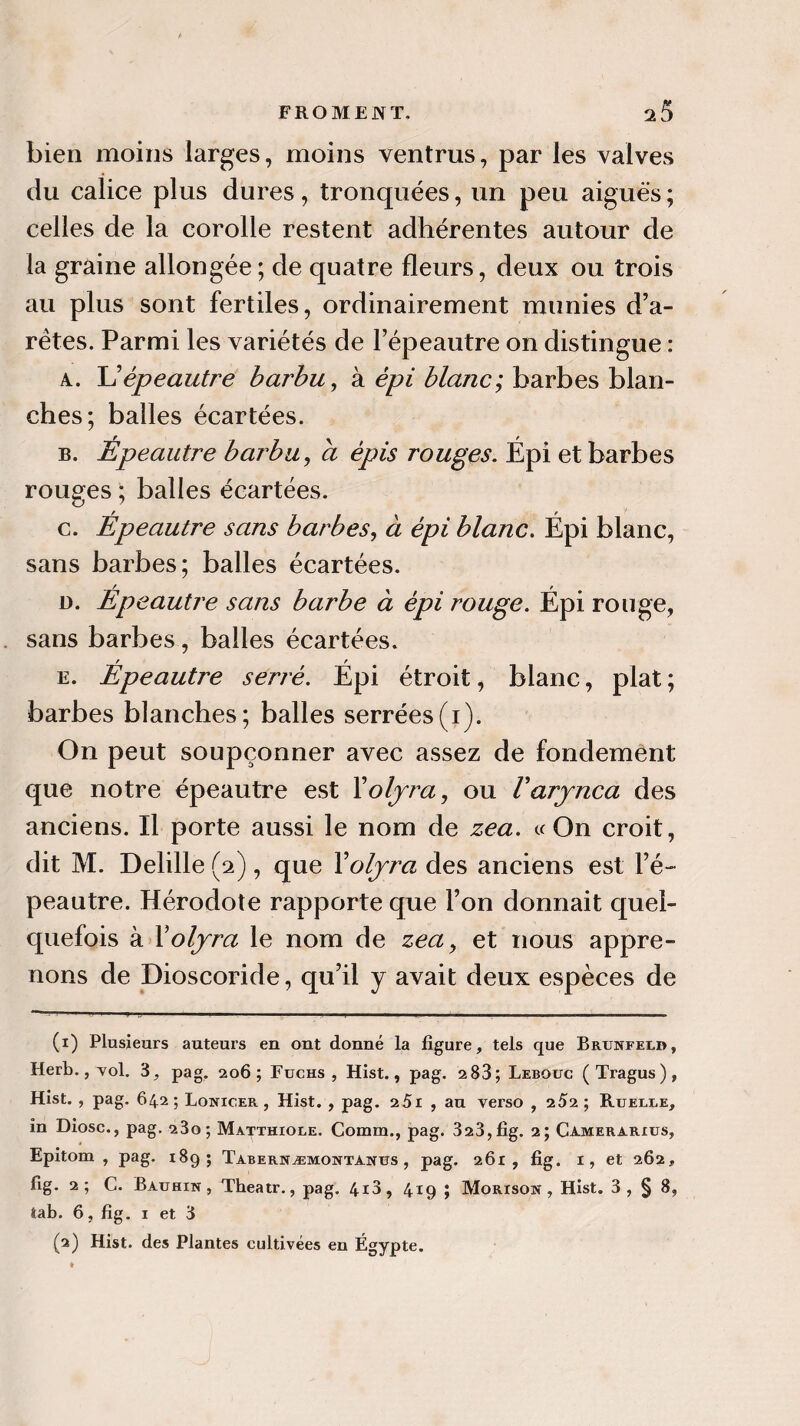 bien moins larges, moins ventrus, par les valves du calice plus dures, tronquées, un peu aiguës ; celles de la corolle restent adhérentes autour de la graine allongée ; de quatre fleurs, deux ou trois au plus sont fertiles, ordinairement munies d’a- rétes. Parmi les variétés de Fépeautre on distingue : a. épeautre barbu, à épi blanc; barbes blan¬ ches; balles écartées. b. Épeautre barbu, a épis rouges. Épi et barbes rouges ; balles écartées. c. Épeautre sans barbes, à épi blanc. Épi blanc, sans barbes; balles écartées. n. Épeautre sans barbe à épi rouge. Épi rouge, sans barbes, balles écartées. e. Épeautre serré. Épi étroit, blanc, plat ; barbes blanches; balles serrées(i). On peut soupçonner avec assez de fondement que notre épeautre est Yoljra, ou Varjnca des anciens. Il porte aussi le nom de zea. «On croit, dit M. Delille (2), que Yoljra des anciens est Fé¬ peautre. Hérodote rapporte que Fon donnait quel¬ quefois à Yoljra le nom de zea, et nous appre¬ nons de Dioscoride, qu’il y avait deux espèces de (x) Plusieurs auteurs en ont donné la figure, tels que Brunfeld, Herb., vol. 3, pag. 206; Fuchs , Hist., pag. 2 83; Leboüc (Tragus), Hist. , pag. 642; Lonicer , Hist. , pag. 251 , au verso , 252; Ruelle, in Diosc., pag. 23o; Matthiole. Comm., pag. 323,fig. 2; Camerarius, Epitom , pag. 189; Tabernæmontanus , pag. 261, fig. 1, et 262, fig. 2; C. Bauhin , Theatr., pag. 4i3, 419 ; Morison , Hist. 3 , § 8, tab. 6, fig. 1 et 3
